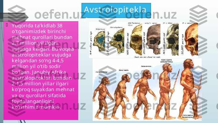 Av st rolopit ek la
r

Yuqorida t a’k idlab 38 
o't ganimizdek  biri nchi 
mehnat  qurol lari bundan 
2,7 mill ion y il il gari  
v uj udga k elgan. Bu v oqea 
av st rolopit ek lar v ujudga 
k elgandan so‘ng 4-4,5 
milli on y il o‘t ib sodi r 
bo‘lgan. J anubiy  A frik a 
av st ral opit ek lari bundan 
2-1,5 m illi on y i llar il gari  
k o‘proq suy ak dan mehnat  
v a ov  quroll ari sifat ida 
foy dalanganligini  
k o‘rishi miz mum k in.              