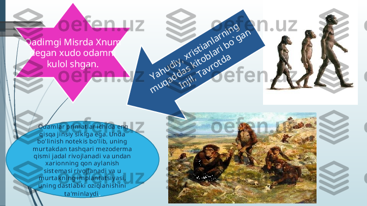   Odamlar primat l ar ichi da eng 
qisqa j insiy  sik lga ega. Unda 
bo'li nish not ek is bo'l ib, uning 
murt ak dan t ashqari mezoderma 
qismi jadal riv ojlanadi v a undan 
xarionni ng qon ay lanish 
sist emasi ri v oj lanadi v a u 
murt ak ning implant at siy asi , 
uni ng dast labk i oziqlanishini 
t a‘minlay di .Qadimgi Misrda Xnum 
degan xudo odamni 
kulol shgan.Yahudiy, xristianlarning 	
m	uqaddas kitoblari bo`gan 	
Injil, Tavrotda              