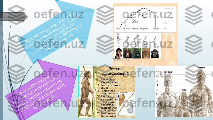 Ajdodlarim	izga eng yaqin inson 	
shakli neandertal odam	dir. Bizning 	
ikki turim	iz um	um	iy ajdod 	
shaklidan taxm	inan 500 m	ing yil 	
oldin ajratilgan edi	
Hozirgacha olim	lar 	
neandertal m	ustaqil turm	i 	
yoki u oqilona odam	ning 	
kenja turi ekanligini aniq 	
bilishm	aydi.             