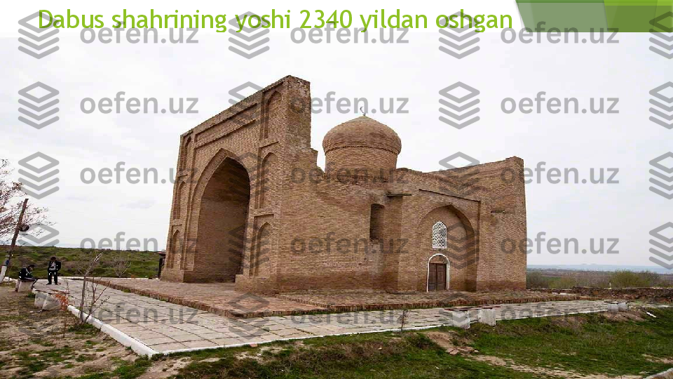 Dabus shahrining yoshi 2340 yildan oshgan                 