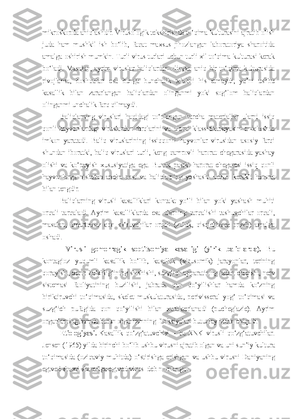 mikroskopda aniqlashdir. Virusologik tekshirishda to‘qima kulturasini ajratib olish
juda   ham   mushkil   ish   bo‘lib,   faqat   maxsus   jihozlangan   laboratoriya   sharoitida
amalga oshirish mumkin. Turli virus turlari uchun turli xil to‘qima kulturasi kerak
bo‘ladi.   Masalan,   ayrim   viruslar   baliqlardan   olingan   aniq   bir   to‘qima   kulturasida
rivojlansa,   boshqalari   esa   bunga   bunchalik   talabni   his   etmaydi,   ya’ni   ushbu
kasallik   bilan   zararlangan   baliqlardan   olinganmi   yoki   sog‘lom   baliqlardan
olinganmi unchalik farq qilmaydi.
Baliqlarning   viruslari   haqidagi   to‘plangan   barcha   materiallar   ularni   issiq
qonli   hayvonlardagi   viruslardan   farqlarini   va   ularni   klassifikatsiyasini   aniqlashda
imkon   yaratadi.   Baliq   viruslarining   issiqqonli   hayvonlar   virusidan   asosiy   farqi
shundan   iboratki,   baliq   viruslari   turli,   keng   qamrovli   harorat   chegarasida   yashay
olishi   va   ko‘payish   xususiyatiga   ega.   Bunda   pastki   harorat   chegarasi   issiq   qonli
hayvonlarga   nisbatan   ancha   past   va   baliqlarning   yashashi   uchun   kerakli   harorat
bilan tengdir.
Baliqlarning   virusli   kasalliklari   kontakt   yo‘li   bilan   yoki   yashash   muhiti
orqali   tarqaladi.   Ayrim   kasalliklarda   esa   ularning   tarqalishi   tashuvchilar   orqali,
masalan,   umurtqasiz   qon   so‘ruvchilar   orqali   (zuluk,   qisqichbaqa   orqali)   amalga
oshadi.
  Virusli   gemorragik   septitsemiya   kasalligi   (yirik   baliqlarda).   Bu
k ontagioz   yuqumli   kasallik   bo‘lib,   kasallik   (virusomik)   jarayonlar,   terining
qorayishi, qorin bo‘shlig‘ining shishishi, suz g‘ ich apparatining izdan chiqishi, nerv
sistemasi   faoliyatining   b u zilishi,   jabrada   qon   qo‘yilishlar   hamda   ko‘zning
biriktiruvchi   to‘qimasida,   skelet   muskulaturasida,   perivisseral   yog‘   to‘qimasi   va
suz g‘ ich   pufagida   qon   qo‘yilishi   bilan   xarakterlanadi   (pucheglazie).   Ayrim
organlarning hamda butun organizmning f u nksiyalari butunlay izdan chiqadi.
Etiologiyasi.   Kasallik   qo‘zg‘atuvchisi   –   bu   RNK   virusli   qo‘zg‘atuvchilar.
Jensen (1965) yilda birinchi bo‘lib ushbu virusni ajratib olgan va uni sun’iy k u ltura
to‘qimasida   ( o ziqaviy   muhitda )   o‘stirishga   erishgan   va   ushbu   virusni   Daniyaning
egtved shaxri sharafiga egtved-virus  deb nomlangan. 