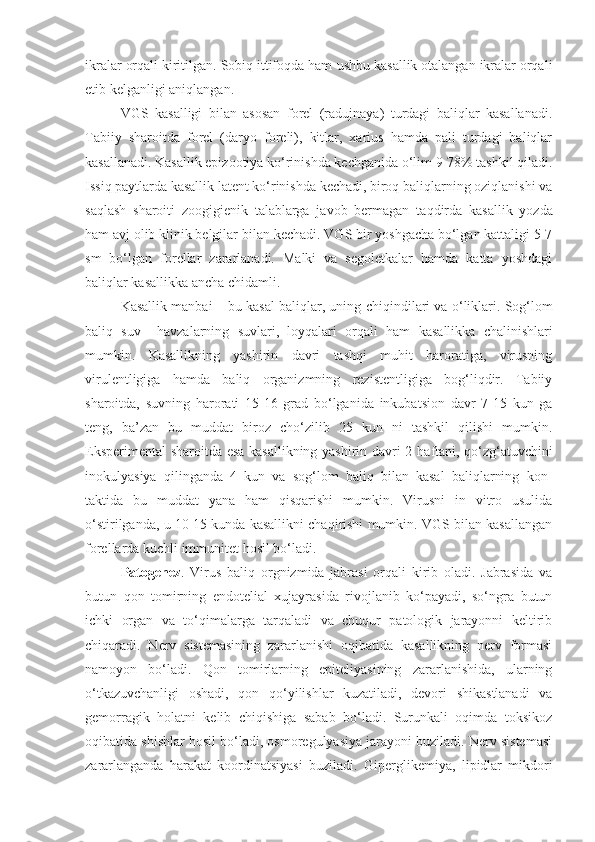 ikralar orqali kiritilgan. Sobiq ittifoqda ham   ushbu kasallik otalangan ikralar orqali
etib kelganligi aniqlangan.
VGS   kasalligi   bilan   asosan   forel   (radujnaya)   turdagi   baliqlar   kasallanadi.
Tabiiy   sharoitda   forel   ( d ar yo   foreli),   kitlar,   xarius   hamda   pali   turdagi   baliqlar
kasallanadi. Kasallik epizootiya ko‘rinishda kechganida o‘lim 9-78% tashkil qiladi.
Issiq paytlarda kasallik latent ko‘rinishda kechadi, biroq baliqlarning oziqlanishi va
saqlash   sharoiti   zoogigienik   talablarga   javob   bermagan   ta q dirda   kasallik   yozda
ham avj olib klinik belgilar  b ilan kechadi. VGS bir yoshgacha bo‘lgan kattaligi 5-7
sm   bo‘lgan   forellar   zararlanadi.   Malki   va   segoletkalar   hamda   katta   yoshdagi
baliqlar kasallikka ancha chidamli.
Kasallik manbai – bu kasal baliqlar, uning   chi q indilari va  o‘ liklari. Sog‘lom
baliq   suv     havzalarning   suvlari,   loyqalari   orqali   ham   kasallikka   chalinishlari
mumkin.   Kasallikning   yashirin   davri   tashqi   muhit   haroratiga,   virusning
virulentligiga   hamda   baliq   organizmning   rezistentligiga   bog‘liqdir.   Tabiiy
sharoitda,   suvning   harorati   15-16   grad   bo‘lganida   inkubatsion   davr   7-15   kun   ga
teng,   ba’zan   bu   muddat   biroz   cho‘zilib   25   kun   ni   tashkil   qilishi   mumkin.
Eksperimental sharoitda esa kasallikning yashirin davri 2   h aftani, qo‘zg‘atuvchini
inok u lyasiya   qilinganda   4   kun   va   sog‘lom   baliq   bilan   kasal   baliqlarning   k on-
taktida   bu   muddat   yana   ham   qisqarishi   mumkin.   Virusni   in   vitro   usulida
o‘stirilganda, u 10-15 kunda kasallikni chaqirishi mumkin. VGS bilan kasallangan
forellarda kuchli immunitet hosil bo‘ladi.
Patogenez .   Virus   baliq   orgnizmida   jabrasi   orqali   kirib   oladi.   Jabrasida   va
butun   qon   tomirning   endotelial   xujayrasida   rivojlanib   ko‘payadi,   so‘ngra   butun
ichki   organ   va   to‘qimalarga   tarqaladi   va   chuqur   patologik   jarayonni   keltirib
chiqaradi.   Nerv   sistemasining   zararlanishi   oqibatida   kasallikning   nerv   formasi
namoyon   bo‘ladi.   Qon   tomirlarning   epiteliyasining   zararlanishida,   ularning
o‘tkazuvchanligi   oshadi,   qon   qo‘yilishlar   kuzatiladi,   devori   shikastlanadi   va
gemorragik   holatni   kelib   chiqishiga   sabab   bo‘ladi.   Surunkali   oqimda   toksikoz
oqibatida shishlar hosil bo‘ladi, osmoregulyasiya jarayoni buziladi. Nerv sistemasi
zararlanganda   harakat   koordinatsiyasi   buziladi.   Giper g likemiya,   lipidlar   mikdori 