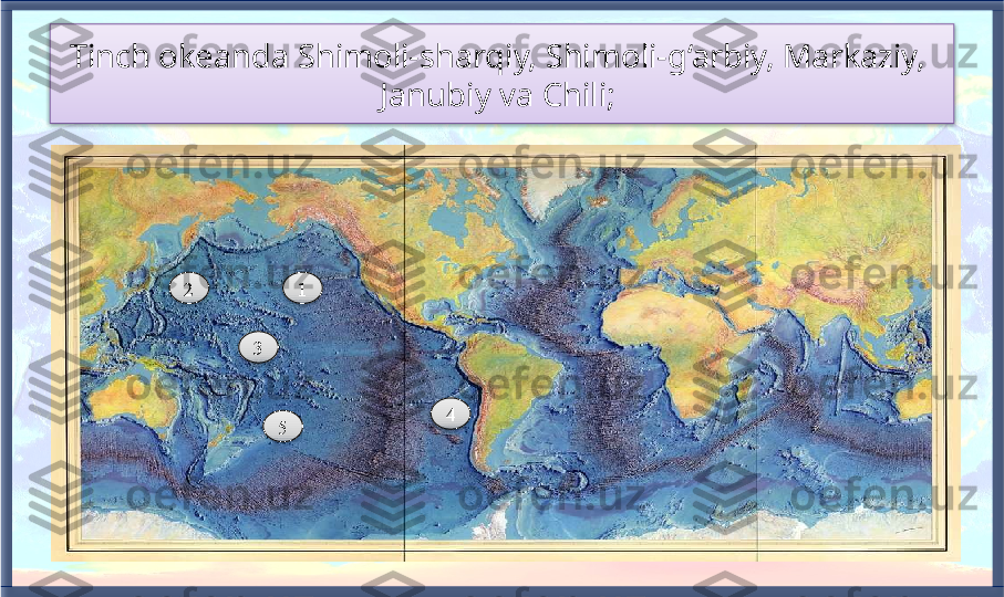 Tinch okeanda Shimoli-sharqiy, Shimoli-g‘arbiy, Markaziy, 
Janubiy va Chili; 
32
41
5        