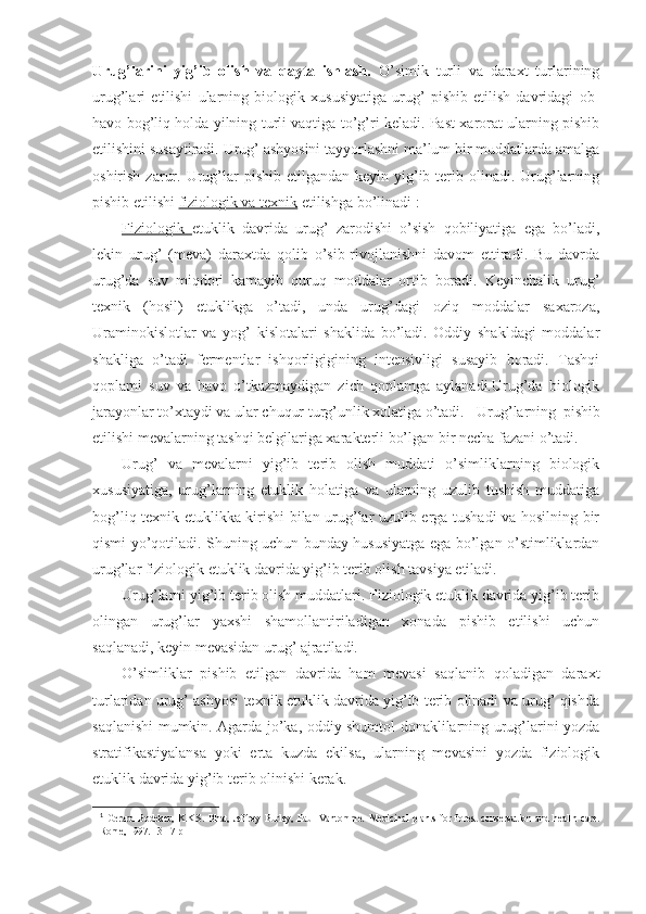 Urug’larini   yi g’ ib   olish   va   qayta   ishlash.   O’simik   turli   va   daraxt   turlarining
urug’lari   etilishi   ularning   biologik   xususiyatiga   urug’   pishib   etilish   davridagi   ob-
havo bog’liq holda yilning turli vaqtiga to’g’ri keladi. Past xarorat ularning pishib
etilishini susaytiradi. Urug’ ashyosini tayyorlashni ma’lum bir muddatlarda amalga
oshirish  zarur.  Urug’lar  pishib  etilgandan  keyin yig’ib terib olinadi.  Urug’larning
pishib etilishi  fiziologik va texnik  etilishga bo’linadi 1
:
Fiziologik   etuklik   davrida   urug’   zarodishi   o’sish   qobiliyatiga   ega   bo’ladi,
lekin   urug’   (meva)   daraxtda   qolib   o’sib-rivojlanishni   davom   ettiradi.   Bu   davrda
urug’da   suv   miqdori   kamayib   quruq   moddalar   ortib   boradi.   Keyinchalik   urug’
texnik   (hosil)   etuklikga   o’tadi,   unda   urug’dagi   oziq   moddalar   saxaroza,
Uraminokislotlar   va   yog’   kislotalari   shaklida   bo’ladi.   Oddiy   shakldagi   moddalar
shakliga   o’tadi   fermentlar   ishqorligigining   intensivligi   susayib   boradi.   Tashqi
qoplami   suv   va   havo   o’tkazmaydigan   zich   qoplamga   aylanadi.Urug’da   biologik
jarayonlar to’xtaydi va ular chuqur turg’unlik xolatiga o’tadi. Urug’larning   pishib
etilishi mevalarning tashqi belgilariga xarakterli bo’lgan bir necha fazani o’tadi.
Urug’   va   mevalarni   yig’ib   terib   olish   muddati   o’simliklarning   biologik
xususiyatiga,   urug’larning   etuklik   holatiga   va   ularning   uzulib   tushish   muddatiga
bog’liq texnik etuklikka kirishi bilan urug’lar uzulib erga tushadi va hosilning bir
qismi yo’qotiladi. Shuning uchun bunday hususiyatga ega bo’lgan o’stimliklardan
urug’lar fiziologik etuklik davrida yig’ib terib olish tavsiya etiladi.
Urug’larni yig’ib terib olish muddatlari. Fiziologik etuklik davrida yig’ib terib
olingan   urug’lar   yaxshi   shamollantiriladigan   xonada   pishib   etilishi   uchun
saqlanadi, keyin mevasidan urug’ ajratiladi.
O’simliklar   pishib   etilgan   davrida   ham   mevasi   saqlanib   qoladigan   daraxt
turlaridan urug’ ashyosi texnik etuklik davrida yig’ib terib olinadi va urug’ qishda
saqlanishi mumkin. Agarda jo’ka, oddiy shumtol donaklilarning urug’larini yozda
stratifikastiyalansa   yoki   erta   kuzda   ekilsa,   ularning   mevasini   yozda   fiziologik
etuklik davrida yig’ib terib olinishi kerak.
1
  Gerard   Bodeker,   K.K.S.   Bhat,   Jeffrey   Burley,   Paul   Vantomme.   Medicinal   plants   for   forest   conservation   and   health   care.
Rome, 1997 . 13-17  p 