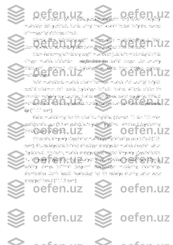 Silliq  mushaklarni  (shuningdek,   yurak  mushaklarini  ham)  ba’zan  noixtiyoriy
mushaklar   deb   yuritiladi,   bunda   uning   inson   xoxishi-irodasi   bo’yicha   nazorat
qilinmaganligi e’tiborga olinadi.
Odamda   ham   ko’ndalang-targ’il   va   ham   silliq   mushaklar   mavjud,   lekin
ularning xossalari va markaziy asab tizimiga munosabati biroz boshqacha.
Odam skeletmmg ko’ndalang-targ’il mushaklari juda ko’p miqdordagi alohida
olingan   mushak   tolalaridan   -   miofibrillalardan   tashkil   topgan   ular   umumiy
biktiruvchi   –   to‘qimali   qinda   joylashgan   va   skelet   bilan   birikkan   paylarga
mahkamlangan.
Ba’zi   mushaklarda   mushak   tolasini   hammasi   mushak   o’qi   uzunligi   bo’ylab
parallel-tolasimon   tipli   tarzda   joylashgan   bo’ladi.   Boshqa   xillarda   tolalar   bir
omondan markaziy pay tuguniga, boshqa tomondan esa tashqi pay qiniga birikadi
mahkamlanadi. Ko’ndalang kesimda bunday tuzilish qush patini esiatadi  patsimon
tip  (11.1.1-rasm) . 
Skelet   mushakining   har   bir   tolasi   bu   ingichka   (diametri   10   dan   100   mkm
gacha) ancha uzun (2-3 sm gacha), ko‘p yadroli yig‘ilma – simplast hujayralarning
birikishidan hosil bo‘ladi.
Bir qancha kimyoviy o’zgarishlar mushaklarning ishlashiga asos bo’ladi (103-
rasm). Shu reaksiyalarda bo’shab chiqadigan energiyadan mushak qisqarish  uchun
foydalanadi.   Binobarin,   mushak   energiyasining   manbai   kimyoviy   o’zgarishlardir.
Bu   kimyoviy   o’zgarishlarning   xususiyati   shuki,   murakkab   moddaning   oddiyroq,
tarkibiy   qismga   bo’linish   jarayonni   parchalangan   moddaning   tiklanishiga
chambarchas   ulanib   ketadi.   Navbatdagi   har   bir   reaksiya   shuning   uchun   zarur
energiyani beradi (11.1.2-rasm).  