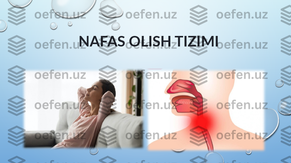 NAFAS OLISH TIZIMI  