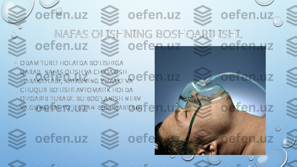 NAFAS OLISHNING BOSHQARILISHI.
•
ODAM TURLI HOLATDA BO'LISHIGA 
QARAB, NAFAS OLISH VA CHIQARISH 
HARAKATLARI, NAFASNING  Y UZAKI  VA 
CHUQUR  BO'LISHI AVTOMATIK HOLDA 
O'ZGARIB TURADI. BU BOG'LANISH  N ERV  
VA  GUMORAL  YO'L BILAN BOSHQARILADI  