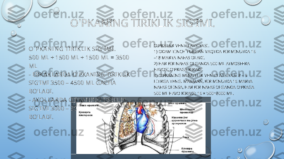 O'PKANING TIRIKLIK SIG'IMI.
•
O` PKAN IN G TIRIKLIK SIG` IMI.
500 ML + 1500 ML + 1500 ML = 3500 
ML
-  ERKAKLARDA  O'PKANING TIRIKLIK 
SIG'IMI  3500 – 4500 ML  GACHA 
BO'LADI.
-  AYOLLARDA  O'PKANING TIRIKLIK 
SIG'IMI  3000 – 3500 ML  GACHA 
BO'LADI. •
O'PK A LA R VEN TI LATSI YA SI .
1) ODAM  TI N CH TURGA N  VAQTDA  BIR MINUTDA  16 
–18 MA RTA   NAFAS OLADI.
2) HAR BIR NAFAS OLGANDA  500 ML  ATMOSFERA 
HAVOSI O'PKAGA KIRADI.
3) O'PKANING  MI N UTLI K VEN TI LATSI YA SI  8 – 9 
LI TRGA   TEN G.  MASALAN, BIR MINUTDA 16 MARTA 
NAFAS OLINSA, HAR BIR NAFAS OLGANDA O'PKAGA 
500 ML HAVO KIRADI:  16 × 500=8000 ML.  