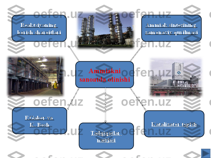 Ammiakni 
sanoatda olinishiReaktsiyaning  
borish   sharoitlari Ammiak   sintezining  
zamonaviy   qurilmasi
Katalizator   topish
Tadqiqotlar  
natijasiF.Gaber   va  
K. Bosh 