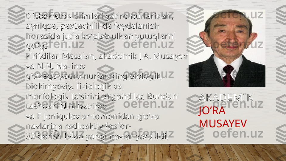 0 ‘zbekiston olimlari yadro nurlaridan, 
ayniqsa, paxtachilikda foydalanish 
horasida juda ko'plab ulkan yutuqlarni 
qo‘lga  
kiritdilar. Masalan, akademik J.A. Musayev 
va N.N. Nazirov  
g‘o‘zaga yadro nurlarining biologik. 
biokimyoviy, fiziologik va  
morfologik ta'sirini o'rgandilar. Bundan 
tashqari N.N Nazirov  
va F Joniqulovlar tomonidan g'o'za 
navlariga radioaktiv fosfor-  
32 berish bilan yangi navlar yaralildi.  AKADEMIK 
JO’RA 
MUSAYEV  