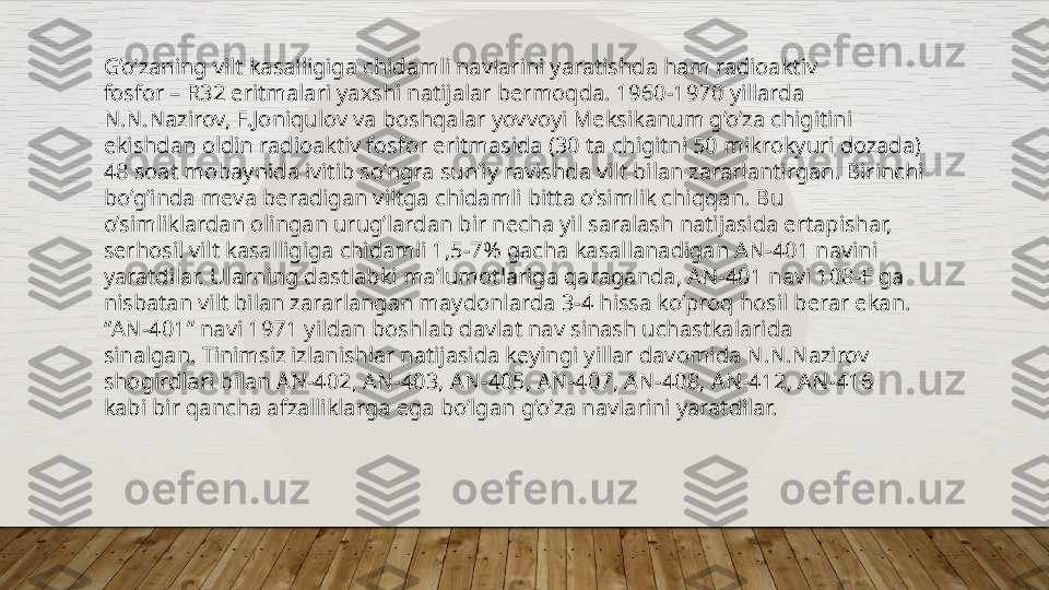 G’o’zaning vilt kasalligiga chidamli navlarini yaratishda ham radioaktiv  
fosfor – R32 eritmalari yaxshi natijalar bermoqda. 1960-1970 yillarda  
N.N.Nazirov, F.Joniqulov va boshqalar yovvoyi Meksikanum g’o’za chigitini  
ekishdan oldin radioaktiv fosfor eritmasida (30 ta chigitni 50 mikrokyuri dozada)  
48 soat mobaynida ivitib so’ngra sun’iy ravishda vilt bilan zararlantirgan. Birinchi  
bo’g’inda meva beradigan viltga chidamli bitta o’simlik chiqqan. Bu  
o’simliklardan olingan urug’lardan bir necha yil saralash natijasida ertapishar,  
serhosil vilt kasalligiga chidamli 1,5-7% gacha kasallanadigan AN-401 navini  
yaratdilar. Ularning dastlabki ma’lumotlariga qaraganda, AN-401 navi 108-F ga  
nisbatan vilt bilan zararlangan maydonlarda 3-4 hissa ko’proq hosil berar ekan.  
“ AN-401” navi 1971 yildan boshlab davlat nav sinash uchastkalarida  
sinalgan. Tinimsiz izlanishlar natijasida keyingi yillar davomida N.N.Nazirov  
shogirdlari bilan AN-402, AN-403, AN-405, AN-407, AN-408, AN-412, AN-416  
kabi bir qancha afzalliklarga ega bo’lgan g’o’za navlarini yaratdilar.  