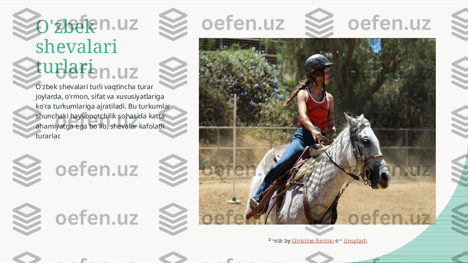 O'zbek 
shevalari 
turlari
O'zbek shevalari turli vaqtincha turar 
joylarda, o'rmon, sifat va xususiyatlariga 
ko'ra turkumlariga ajratiladi. Bu turkumlar 
shunchaki hayvonotchilik sohasida katta 
ahamiyatga ega bo'lib, shevalar kafolatli 
turarlar.
Photo by  Christine Benton  on  Unsplash  