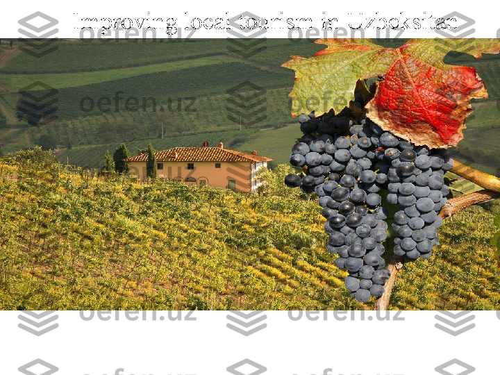Improving local tourism in Uzbeksitan 