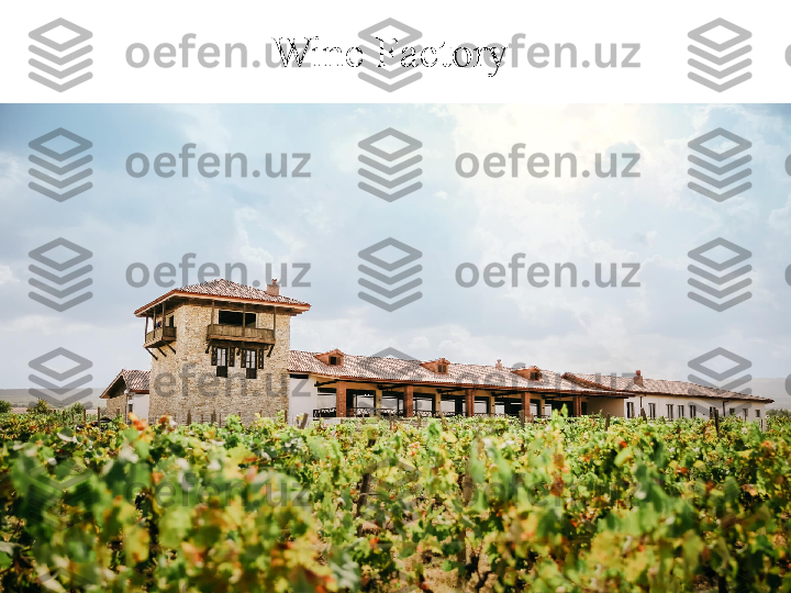 Wine Factory  