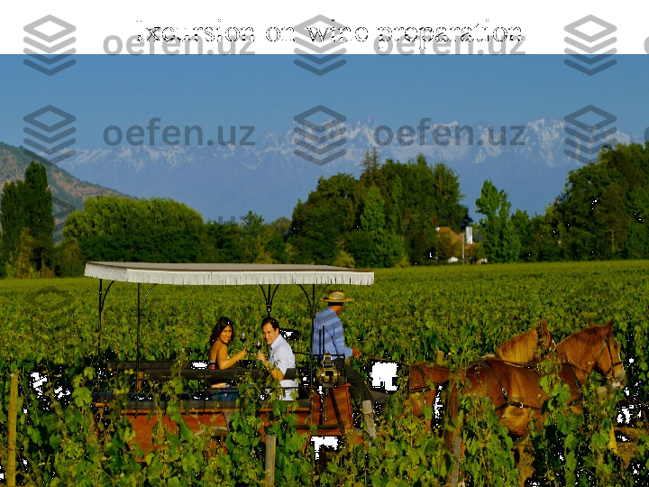 Ixcursion on wine preparation 