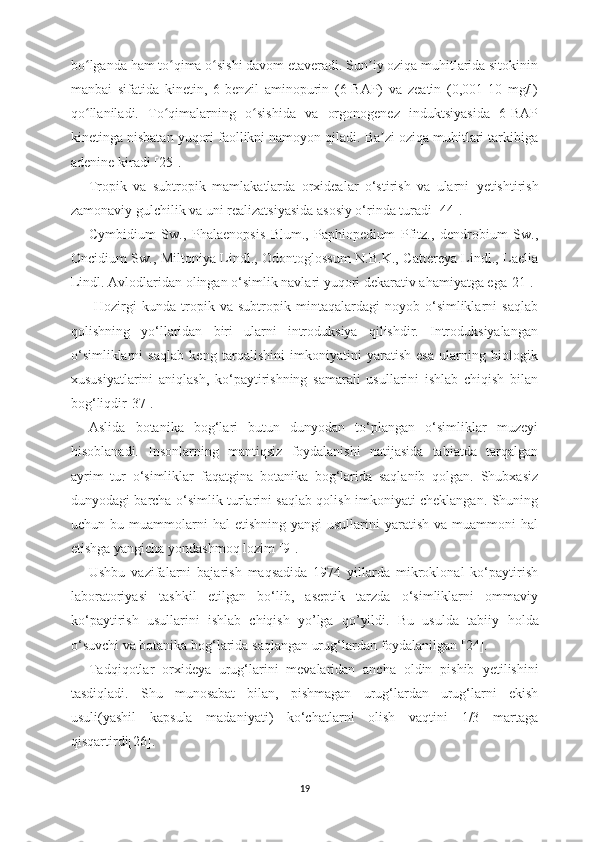 bo lganda ham to qima o sishi davom etaveradi. Sun iy oziqa muhitlarida sitokininʻ ʻ ʻ ʼ
manbai   sifatida   kinetin,   6-benzil   aminopurin   (6-BAP)   va   zeatin   (0,001-10   mg/l)
qo llaniladi.   To qimalarning   o sishida   va   orgonogenez   induktsiyasida   6-BAP
ʻ ʻ ʻ
kinetinga nisbatan yuqori faollikni namoyon qiladi. Ba zi oziqa muhitlari tarkibiga	
ʼ
adenine kiradi [ 25 ].
Tropik   va   subtropik   mamlakatlarda   orxidealar   o‘stirish   va   ularni   y etishtirish
zamonaviy gulchilik va uni realizatsiyasida asosiy o‘rinda turadi  [ 44 ].
Cymbidium   Sw.,   Phalaenopsis   Blum.,   Paphiopedium   Pfitz.,   dendrobium   Sw.,
Oncidium Sw., Miltoniya Lindl., Odontoglossum N.B.K., Cattereya Lindl., Laelia
Lindl.  Avlodlaridan olingan o‘simlik navlari yuqori dekarativ a h amiyatga ega [ 21 ].
  H ozirgi   kunda   tropik   va   subtropik   mintaqalardagi   noyob   o‘simliklarni   saqlab
qolishning   yo‘llaridan   biri   ularni   introduksiya   qilishdir.   Introduksiyalangan
o‘simliklarni   saqlab   keng   tarqalishini   imkoniyatini   yaratish   esa   ularning   biologik
xususiyatlarini   aniqlash,   ko‘paytirishning   samarali   usullarini   ishlab   chiqish   bilan
bog‘liqdir[37].
Aslida   botanika   bog‘lari   butun   dunyodan   to‘plangan   o‘simliklar   muzeyi
hisoblanadi.   Insonlarning   mantiqsiz   foydalanishi   natijasida   tabiatda   tarqalgan
ayrim   tur   o‘simliklar   faqatgina   botanika   bog‘larida   saqlanib   qolgan.   Shubxasiz
dunyodagi barcha o‘simlik turlarini saqlab qolish imkoniyati cheklangan. Shuning
uchun  bu  muammolarni  hal   etishning  yangi  usullarini   yaratish  va  muammoni  hal
etishga yangicha yondashmoq lozim [9].
Ushbu   vazifalarni   bajarish   maqsadida   1974   yillarda   mikroklonal   ko‘paytirish
laboratoriyasi   tashkil   etilgan   bo‘lib,   aseptik   tarzda   o‘simliklarni   ommaviy
ko‘paytirish   usullarini   ishlab   chiqish   yo’lga   qo’yildi.   Bu   usulda   tabiiy   h olda
o‘suvchi va botanika bog‘larida saqlangan urug‘lar d an foydalanilgan [ 24 ].
Tadqiqotlar   orxideya   urug‘larini   mevalaridan   ancha   oldin   pishib   y etilishini
tasdiqladi.   Shu   munosabat   bilan,   pishmagan   urug‘lardan   urug‘larni   ekish
usuli(yashil   kapsula   madaniyati)   ko‘chatlarni   olish   vaqtini   1/3   martaga
qisqartirdi[26].
19 