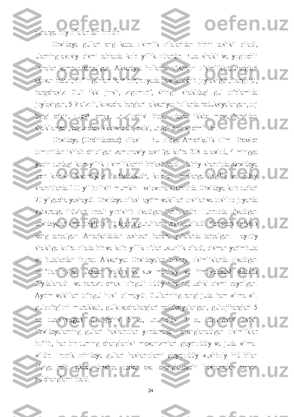 turlarga boy oilalaridan biridir.
Orxideya   gullari   eng   katta   o'simlik   oilalaridan   birini   tashkil   qiladi,
ularning   asosiy   qismi   tabiatda   ko'p   yillik   o'tlardir.   Buta   shakli   va   yog'ochli
lianalar   kamroq   tarqalgan.   Aksariyat   hollarda   o tsimon   o simliklar,   Barglariʻ ʻ
asosan butun, bo‘linganlari ham bor, poyada navbatlashib joylashgan, bargoldi ,
bargchasiz.   Guli   ikki   jinsli,   zigomorf,   shingil   shakldagi   gul   to‘plamida
joylashgan, 5-7 a zoli, kosacha barglari  aksariyat hollarda reduksiyalangan, toj	
ʼ
bargi   erkin,   tutash   emas,   urug ochisi   bitta,   odatda   ikkita   meva   bargidan	
ʻ
shakllangan, tugunchasi ikki xonali, ostki, urug i endospermli [5]. 	
ʻ
Orxideya   (Orchidaceae)   oilasi   —Bu   oilaga   Amerikalik   olim   Dressler
tomonidan   ishlab   chiqilgan   zamonaviy   tasnifga   ko‘ra   208   ta   avlod,   4   mingga
yaqin   turdagi   ko'p   yillik   o'simliklarini   birlashtiradi.   Tabiiy   sharoitda   Orxideya
umr   ko'rish   davomiyligi   individualdir,   ko'plab   omillarga   bog'liq   va   qulay
sharoitlarda 100 yil bo'lishi mumkin. Issiqxona sharoitida   Orxideya   ko'p turlari
70 yilgacha yashaydi.  Orxideya oilasi  ayrim vakillari  toshlar va toshloq joyarda
substratga   ildizlari   orqali   yopishib   o'sadigan   litofitlardir.   Tuproqda   o‘sadigan
orxideyalar o'rta bo'yli bo‘lib kichik guruhlarni tashkil qiladi. Yer shari bo ylab	
ʻ
keng   tarqalgan.   Antarktidadan   tashqari   barcha   qit’alarda   tarqalgan.   Hayotiy
shakliga ko ra oilada bir va ko p yillik o tlar ustunlik qiladi, qisman yarimbuta	
ʻ ʻ ʻ
va   butalardan   iborat.   Aksariyat   Orxideya lar   boshqa   o'simliklarda   o'sadigan
epifitlar   bo'lib,   ulardan   makon   va   suv   manbayi   va   himoyalanish   sifatida
foydalanadi     va   parazit   emas.To pguli   oddiy   boshoq,   uchki   qismi   qayrilgan.	
ʻ
Ayrim   vakillari   to‘pgul   hosil   qilmaydi.   Gullarining   rangi   juda   ham   xilma-xil.
gulqo rg oni   murakkab,   gulkosachabarglari   reduksiyalangan,   gultojibarglari   5	
ʻ ʻ
ta,   tutashmagan.   Changchisi   5   ta,   urug chisi   2   ta,   tugunchasi   ostki.	
ʻ
Or x ideya larning   gullari   hasharotlar   yordamida     changlanadigan   o'simliklar
bo‘lib,   har   bir   turning   changlanish   mexanizmlari   g'ayrioddiy   va   juda   xilma-
xildir.   Tropik   orhideya   gullari   hasharotlarni   g'ayrioddiy   xushbo'y   hid   bilan
o’ziga   jalb   qiladi,   boshqa   turlar   esa   changlatuvchi   hasharotlar   tomon
gulchanglarni otadi.
24 