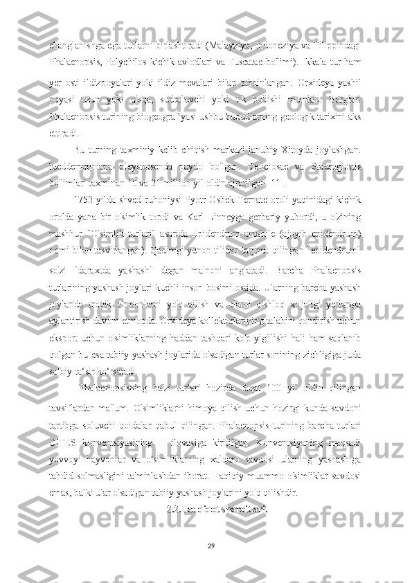 changlanishga ega turlarni birlashtiradi (Malayziya, Indoneziya va Filippindagi
Phalaenopsis,   Polychilos   kichik   avlodlari   va   Fuscatae   bo'limi).   Ikkala   tur   ham
yer   osti   ildizpoyalari   yoki   ildiz   mevalari   bilan   ta'minlangan.   Orxideya   yashil
poyasi   uzun   yoki   qisqa,   sudraluvchi   yoki   tik   bo'lishi   mumkin.   Barglari
Phalaenopsis   tur ining biogeografiyasi ushbu hududlarning geologik tarixini aks
ettiradi.
Bu   turning   ta x miniy   kelib   chiqish   markazi   janubiy   Xitoyda   joylashgan.
lueddemanniana   pleystotsenda   paydo   bo'lgan.   Deliciosae   va   Stauroglottis
bo'limlari taxminan 10 va 21 million yil oldin ajratilgan [ 11 ].
1752  yilda  shved  ruhoniysi  Pyotr   Osbek  Ternate  oroli  yaqinidagi  kichik
orolda   yana   bir   o'simlik   topdi   va   Karl   Linneyga   gerbariy   yubordi,   u   o'zining
mashhur   "O'simlik   turlari"   asarida   Epidendrum   amabile   (ajoyib   epidendrum)
nomi bilan tasvirlangan). Qadimgi yunon tilidan tarjima qilingan "epidendrum"
so'zi   "daraxtda   yashash"   degan   ma'noni   anglatadi.   Barcha   Phalaenopsis
turlarining yashash joylari kuchli inson bosimi ostida. Ularning barcha yashash
joylarida   tropik   o'rmonlarni   yo'q   qilish   va   ularni   qishloq   xo'jaligi   yerlariga
aylantirish davom etmoqda. Orxideya kollektorlarining talabini qondirish uchun
eksport uchun o'simliklarning haddan tashqari  ko'p yig'ilishi hali ham saqlanib
qolgan bu esa tabiiy yashash joylarida o'sadigan turlar sonining zichligiga juda
salbiy ta‘sir ko‘rsatadi.
  Phalaenopsisning   ba'zi   turlari   hozirda   faqat   100   yil   oldin   qilingan
tavsiflardan  ma'lum.   O'simliklarni   himoya   qilish   uchun   hozirgi   kunda   savdoni
tartibga   soluvchi   qoidalar   qabul   qilin gan .   Phalaenopsis   turining   barcha   turlari
CITES   konventsiyasining   II   ilovasiga   kiritilgan.   Konventsiyaning   maqsadi
yovvoyi   hayvonlar   va   o'simliklarning   xalqaro   savdosi   ularning   yashashiga
tahdid solmasligini  ta'minlashdan  iborat. Haqiqiy muammo o'simliklar  savdosi
emas, balki ular o'sadigan tabiiy yashash joylarini yo'q qilishdir.
2.2.Tadqiqot sharoitlari.
29 
