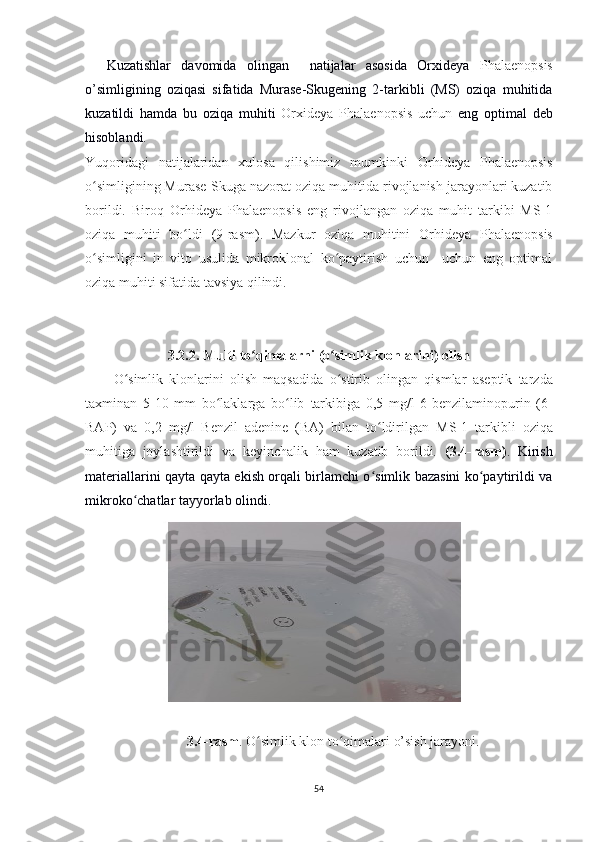 Kuzatishlar   davomida   olingan     natijalar   asosida   Orxideya   Phalaenopsis
o’simligining   oziqasi   sifatida   Murase-Skugening   2-tarkibli   (MS)   oziqa   muhitida
kuzatildi   hamda   bu   oziqa   muhiti   Orxideya   Phalaenopsis   uchun   eng   optimal   deb
hisoblandi.
Yuqoridagi   natijalaridan   xulosa   qilishimiz   mumkinki   Orhideya   Phalaenopsis
o simligiʻ ning  Murase-Skuga nazorat oziqa muhitida rivojlanish jarayonlari kuzatib
borildi.   Biroq   Orhideya   Phalaenopsis   eng   rivojlangan   oziqa   muhit   tarkibi   MS-1
oziqa   muhiti   bo ldi  	
ʻ (9-rasm).   Mazkur   oziqa   muhitini   Orhideya   Phalaenopsis
o simligini   in   vito   usulida   mikroklonal   ko paytirish   uchun     uchun   eng   optimal	
ʻ ʻ
oziqa muhiti sifatida tavsiya qilindi. 
3.2.2. Multi to qimalarni (o simlik klonlarini) olish	
ʻ ʻ
O simlik   klonlarini   olish   maqsadida	
ʻ   o stirib   olingan   qismlar	ʻ   aseptik   tarzda
taxminan   5-10   mm   bo laklarga   bo lib  	
ʻ ʻ tarkibiga   0,5   mg/l   6-benzilaminopurin   (6-
BAP)   va   0,2   mg/l   Benzil   adenine   (BA)   bilan   to ldirilgan  	
ʻ M S-1   tarkibli   oziqa
muhitiga   joylashtirildi   va   keyinchalik   ham   kuzatib   borildi.   (3.4-rasm) .   Kirish
materiallarini qayta qayta ekish orqali birlamchi o simlik bazasini ko paytirildi va
ʻ ʻ
mikroko chatlar tayyorlab olindi. 	
ʻ
3.4 -rasm . O simlik klon to qimalari 	
ʻ ʻ o’sish jarayoni.
54 