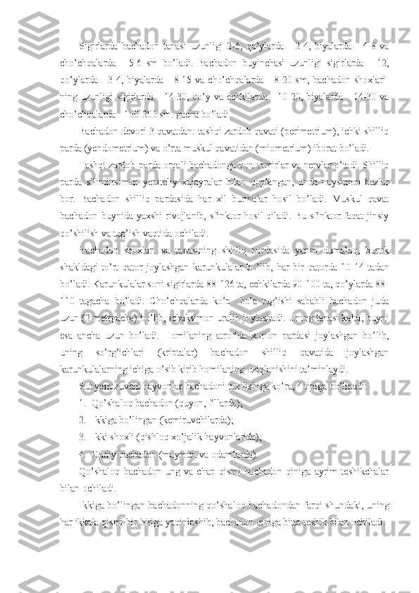 Sigirlarda   bachadon   tanasi   uzunligi   2-6,   qo’ylarda   -   2-4,   biyalarda   -   4-8   va
cho’chqalarda   -   5-6   sm   bo’ladi.   Bachadon   buyinchasi   uzunligi   sigirlarda   -   12,
qo’ylarda -  3-4, biyalarda -  8-15 va  cho’chqalarda  - 8-20 sm, bachadon  shoxlari-
ning uzunligi sigirlarda - 14-30, qo’y va echkilarda - 10-20, biyalarda -  14-30 va
cho’chqalarda - 100-200 sm. gacha bo’ladi.
Bachadon devori 3 qavatdan: tashqi zardob qavati (perimetrium), ichki shilliq
parda (yendometrium) va o’rta muskul qavatidan (miometrium) iborat bo’ladi.
Tashqi zardob parda orqali bachadonga qon tomirlar va nervlar o’tadi. Shilliq
parda   silindirsimon   yepiteliy   xujayralar   bilan   qoplangan,   unda   naysimon   bezlar
bor.   Bachadon   shilliq   pardasida   har   xil   burmalar   hosil   bo’ladi.   Muskul   qavat
bachadon buynida yaxshi  rivojlanib, sfinktor  hosil  qiladi. Bu  sfinktor  faqat  jinsiy
qo’shilish va tug’ish vaqtida ochiladi.
Bachadon   shoxlari   va   tanasining   shilliq   pardasida   yarim   dumaloq,   burtik
shakldagi   to’rt   qator   joylashgan   karunkulalar   bo’lib,   har   bir   qatorda   10-14   tadan
bo’ladi. Karunkulalar soni sigirlarda 88-126 ta, echkilarda 90-100 ta, qo’ylarda 88-
110   tagacha   bo’ladi.   Ch o’ ch q alarda   ko’p     bola   tug’ishi   sababli   bachadon   juda
uzun (2 metrgacha) bo’lib, ichaksimon uralib joylashadi. Uning tanasi kalta, buyni
esa   ancha   uzun   bo’ladi.   Homilaning   atrofida   xorion   pardasi   joylashgan   bo’lib,
uning   so’rg’ichlari   (kriptalar)   bachadon   shilliq   qavatida   joylashgan
karunkulalarning ichiga o’sib kirib homilaning oziqlanishini ta’minlaydi.
Sut yemizuvchi hayvonlar bachadoni tuzilishiga ko’ra, 4 tipiga bo’linadi:
1. Qo’ shalo q  bachadon (quyon, fillarda);
2. Ikkiga bo’lingan (kemiruvchilarda);
3. Ikki shoxli ( q ishlo q  xo’jalik hayvonlarida);
4. Oddiy bachadon (maymun va odamlarda).
Qo’shaloq   bachadon   ung   va   chap   qismi   bachadon   qiniga   ayrim   teshikchalar
bilan ochiladi.
Ikkiga bo’lingan bachadonning qo’shaloq bachadondan farqi shundaki, uning
har ikkala qismi bir-biriga yaqinlashib, bachadon qiniga bitta teshik bilan ochiladi. 