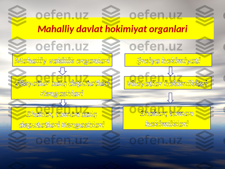 Mahalliy davlat hokimiyat organlari
Mahalliy vakillik organlari
Viloyatlar xalq deputatlari
Kengashlari
Shahar, tuman xalq 
deputatlari Kengashlari Ijroiya hokimiyati
Viloyatlar hokimliklari
Shahar, tuman 
hokimliklari 