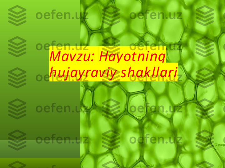 Mavzu:  Hayot ning 
hujayraviy   shak llari 