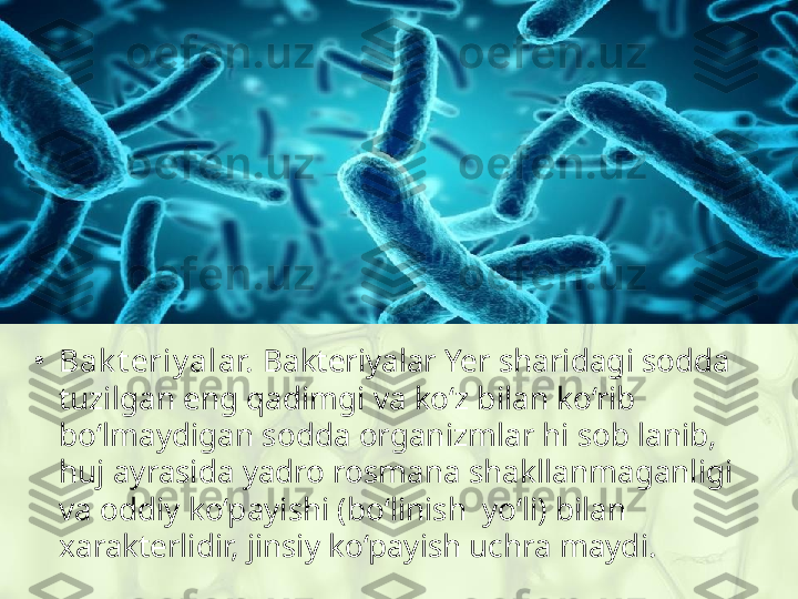 •
Bak t eriy alar.  Bakteriyalar Yer sharidagi sodda 
tuzilgan eng qadimgi va ko‘z bilan ko‘rib 
bo‘lmaydigan sodda organizmlar hi sob lanib, 
huj ayrasida yadro rosmana shakllanmaganligi 
va oddiy ko‘payishi (bo‘linish  yo‘li) bilan 
xarakterlidir, jinsiy ko‘payish uchra maydi. 