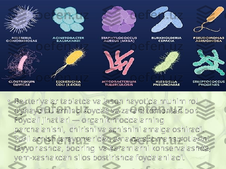 •
Bakteriyalar tabiatda va inson hayotida muhim rol 
o‘ynaydi. Ularning  foydali va zararli tomonlari bor. 
Foydali jihatlari — organik moddalarning  
parchalanishi,  chirishi va achishini amalga oshiradi. 
Turli achish jarayonlaridan amalda sut mahsulotlarini 
tayyorlashda, bodring  va karamlarni konservalashda, 
yem-xashakdan silos bostirishda foydalaniladi. 