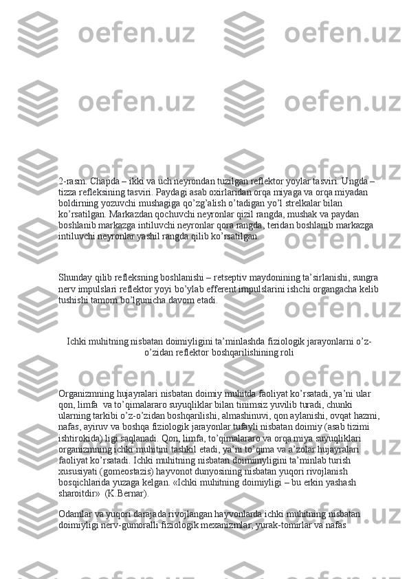 2-rasm. Chapda – ikki va uch neyrondan tuzilgan reflektor yoylar tasviri. Ungda – 
tizza refleksining tasviri. Paydagi asab oxirlaridan orqa miyaga va orqa miyadan 
boldirning yozuvchi mushagiga qo’zg’alish o’tadigan yo’l strelkalar bilan 
ko’rsatilgan. Markazdan qochuvchi neyronlar qizil rangda, mushak va paydan 
boshlanib markazga intiluvchi neyronlar qora rangda, teridan boshlanib markazga 
intiluvchi neyronlar yashil rangda qilib ko’rsatilgan.
 
Shunday qilib refleksning boshlanishi – retseptiv maydonining ta’sirlanishi, sungra
nerv impulslari reflektor yoyi bo’ylab efferent impulslarini ishchi organgacha kelib
tushishi tamom bo’lgunicha davom etadi.
 
Ichki muhitning nisbatan doimiyligini ta’minlashda fiziologik jarayonlarni o’z-
o’zidan reflektor boshqarilishining roli
 
Organizmning hujayralari nisbatan doimiy muhitda faoliyat ko’rsatadi, ya’ni ular 
qon, limfa    va to’qimalararo suyuqliklar bilan tinimsiz yuvilib turadi, chunki 
ularning tarkibi o’z-o’zidan boshqarilishi, almashinuvi, qon aylanishi, ovqat hazmi,
nafas, ayiruv va boshqa fiziologik jarayonlar tufayli nisbatan doimiy (asab tizimi 
ishtirokida) ligi saqlanadi. Qon, limfa, to’qimalararo va orqa miya suyuqliklari 
organizmning ichki muhitini tashkil etadi, ya’ni to’qima va a’zolar hujayralari 
faoliyat ko’rsatadi. Ichki muhitning nisbatan doimimyligini ta’minlab turish 
xususiyati (gomeostazis) hayvonot dunyosining nisbatan yuqori rivojlanish 
bosqichlarida yuzaga kelgan. «Ichki muhitning doimiyligi – bu erkin yashash 
sharoitdir»    (K.Bernar).
Odamlar va yuqori darajada rivojlangan hayvonlarda ichki muhitning nisbatan 
doimiyligi nerv-gumoralli fiziologik mexanizmlar, yurak-tomirlar va nafas  