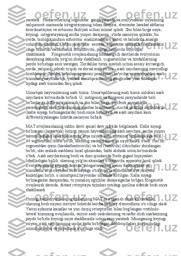 yaratadi.    Hasharotlarning segmentar    gangliyalarida va mollyuskalar miyasining 
xalqumosti massasida integratsiyaning tuban darajasi, elementar harakat aktlarini 
koordinatsiyasi va avtonom faoliyati uchun xizmat qiladi. Shu bilan birga miya, 
keyingi    integratsiyaning ancha yuqori darajasini    o'zida namoyon qiladiki, bu 
yerda, biologik muhim axborotni    analizatorlararo sintez va baholashi amalga 
oshirilishi mumkin. Ushbu jarayonlar    asosida, segmentar markazlar neyronlarini 
ishga tushirish variantlarini ta'minlovchi, pastga tushuvchi buyruqlar 
shakllanadi.          Filogenetik rivojlanishning boshlang'ich davrlarida evolyutsion 
daraxtning ikkinchi yo'g'on shohi shakllanib, u ignaterililar va xordalilarning 
paydo bo'lishiga asos yaratgan. Xordalilar turini ajratish uchun asosiy ko'rsatgich, 
xorda, xalqumli jabrali tirqish va dorsal asab yo'lini - asab naychasining mavjudligi
hisoblanadi. Tashkil bo'lishining asosiy printsiplari bo'yicha, umumrtqalilar    asab    
tizimining naychali tipi, yuksak umurtqasizlarning ganglionar yoki tutashgan 
tipdagi asab tizimidan farq qiladi.
Umurtqali hayvonlarning asab tizimi. Umurtqalilarning asab tizimi uzluksiz asab 
naychasisi ko'rinishida bo'ladi. U, ontogenez va filogenez jarayonlarida turli 
bo'limlarga differentsiyalanadi va shu bilan birga, periferik simpatik va 
parasimpatik asab tutamlarining manbai hisoblanadi. Ancha qadimgi xordalilarda 
(kalla suyagi bo'lmaganlarda) bosh miya bo'lmaydi va asab naychasi kam 
differentsiyalangan holatda namoyon bo'ladi.
MAT rivojlanishining ushbu davri spinal davr sifatida belgilanadi. Kalla suyagi 
bo'lmagan (lantsetnik) hozirgi zamon hayvonlarining asab naychasi, ancha yuqori 
takomillashgan umurtqalilarning orqa miyasi kabi, metamer tuzilmaga ega va 62-
64 segmentdan iborat bo'lib, ularning markazidan orqa miya kanali o'tadi. Har bir 
segmentdan qorin (harakatlantiruvchi) va bel (sezuvchi) ildizchalar shoxlangan 
bo'lib, ular aralash asablarni hosil qilmasdan, balki alohida ustun ko'rinishida 
o'tadi. Asab naychasining bosh va dum qismlarida Rode gigant hujayralari 
lokallashgan bo'lib, ularning yo'g'on aksonlari o'tkazuvchi apparatni hosil qiladi. 
Evolyutsiyaning keyingi davrida, integratsiyaning ayrim funktsiyalari va 
tizimlarini orqa miyadan bosh miyaga o'tishi, ya'ni entsefalizatsiya jarayoni 
kuzatilgan bo'lib, u umurtqasiz hayvonlar misolida ko'rilgan. Kalla suyagi 
bo'lmaganlar darajasidan, to yumaloq og'izlilar darajasigacha bo'lgan filogenetik 
rivojlanish davrida, distant retseptsiya tizimlari ustidagi qurilma sifatida bosh miya
shakllanadi.
Hozirgi zamon yumaloq og'izlilarining MAT ni o'rganish shuni ko'rsatadiki, 
ularning bosh miyasi zurriyot holatida barcha tarkibiy elementlarni o'z ichiga oladi.
Yarim aylanma kanallar va yon chiziq retseptorlari bilan bog'langan vestibulo-
lateral tizimning rivojlanishi, sayyor asab yadrolarining va nafas olish markazining
paydo bo'lishi keyingi miya shakllanishi uchun asos yaratadi. Minoganing keyingi 
miyasi, asab naychasining uncha katta bo'lmagan dumboqchalari ko'rinishidagi 
uzunchoq miya va miyachani o'z ichiga oladi. 