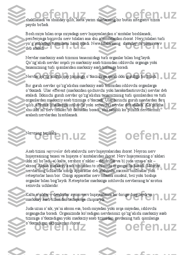 shakllanadi va shunday qilib, katta yarim sharlarning bir butun integrativ tizimi 
paydo bo'ladi.
Bosh miya bilan orqa miyadagi nerv hujayralaridan o’simtalar boshlanadi; 
periferiyaga boruvchi nerv tolalari ana shu o’simtalardan iborat. Nerv tolalari turli 
yo’g’onlikdagi tutamlarni hosil qiladi. Nerv tolalarining    shunday    to’plami nerv 
deb ataladi.
Nervlar markaziy asab tizimini tanamizdagi turli organlar bilan bog’laydi. 
Qo’zg’alish nervlar orqali yo markaziy asab tizimidan ishlovchi organga yoki 
tanamizning turli qismlaridan markaziy asab tizimiga boradi.
Nervlar qo’zg’alishni qay tomonga o’tkazishiga qarab ikki guruhga bo’linadi.
Bir guruh nervlar qo’zg’alishni markaziy asab tizimidan ishlovchi organlarga 
o’tkazadi. Ular efferent (markazdan qochuvchi yoki harakatlantiruvchi) nervlar deb
ataladi. Ikkinchi guruh nervlar qo’zg’alishni tanamizninig turli qismlaridan va turli
organlardan markaziy asab tizimiga o’tkazadi. Ular birinchi guruh nervlardan farq 
qilib, afferent (markazga intiluvchi yoki sezuvchi) nervlar deb ataladi. Ko’pincha 
shu ikki xil nerv tolalari bir dastadan boradi, shu sababli ko’pchilik nervlarimiz 
aralash nervlardan hisoblanadi.
 
Nervning tuzilishi.
 
Asab tizimi   neyronlar   deb ataluvchi nerv hujayralaridan iborat. Neyron nerv 
hujayrasining tanasi va hujayra o’simtalaridan iborat. Nerv hujayrasining o’siklari 
ikki xil bo’ladi: a) kalta, sershox o’siklar – dendritlar va b) juda uzun o’sik – 
akson. Akson markaziy asab tizimidan to ishlovchi organgacha boradi. Nihoyat, 
nervlarning uchlarida oxirgi apparatlar deb ataluvchi maxsus tuzilmalar yoki 
retseptorlar ham bor. Oxirgi apparatlar nerv tolasini muskul, bez yoki boshqa 
organlar bilan bog’laydi. Retseptorlar markazga intiluvchi nervlarning ta’sirotini 
sezuvchi uchlaridir.
Kalta o’siklar – dendritlar ayrim nerv hujayralarini bir-biriga    bog’laydi va 
markaziy asab tizimidan tashqariga chiqmaydi.
Juda uzun o’sik, ya’ni akson esa, bosh miyadan yoki orqa miyadan, ishlovchi 
organgacha boradi. Organizmda ko’radigan nervlarimiz qo’zg’alishi markaziy asab
tizimiga o’tkazadigan yoki markaziy asab tizimidan gavdaning turli qismlariga 
o’tkazadigan aksonlardan iborat. 