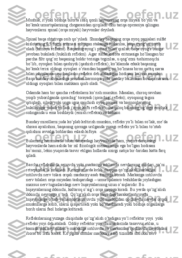 Mushuk, it yoki boshqa birorta issiq qonli hayvonning orqa miyasi bo’yin va 
ko’krak umurtqalarining chegarasidan qirqiladi. Shu tariqa operasiya qilingan 
hayvonlarni spinal (orqa miyali) hayvonlar deyiladi.
Spinal baqa shtativga osib qo’yiladi. Shunday baqaning orqa oyoq panjalari sulfat 
kislotaning 0,5 foizli eritmasi solingan stakanga tushirilsa, baqa oyog’ini tortib 
oladi (himoya refleksi). Baqaning oyog’i pinset bilan qisilsa, baqa oyog’i bunga 
javoban bukiladi (bukilish refleksi). Agar sulfat kislota eritmasiga ho’llangan bir 
parcha filtr qog’oz baqaning boldir terisiga tegizilsa, u qog’ozni tushirmoqchi 
bo’lib, oyoqlari bilan qashiydi (qashish refleksi); ko’klamda erkak baqaning 
ko’krak terisi oldingi oyoqlari o’rtasidan barmoq, yo bo’lmasa biron qattiq narsa 
bilan ishqalansa «quchoqlash» refleksi deb ataladigan hodisani ko’rish mumkin. 
Baqa bunday ishqalashga javoban barmoqni yoki qanday bo’lmasin boshqa narsani
oldingi oyoqlari bilan mahkam qisib oladi.
Odamda ham bir qancha reflekslarni ko’rish mumkin. Masalan, chiroq ravshan 
yoqib yuborilganda qorachig’ torayadi (qorachig’ refleks); oyoqning tagini 
qitiqlash, silash yoki unga igna sanchish oyoq panjasi va barmoqlarining 
bukilishiga    sabab bo’ladi (oyoq kafti refleksi); chaqaloq bolaning og’ziga emchak 
solinganda u ema boshlaydi (emish refleksi) va hakazo.
Bunday misollarni juda ko’plab keltirish mumkin, refleks yo’li bilan so’lak, me’da 
shirasi ajralishini, baqaning qorniga urilganda yuragi refleks yo’li bilan to’xtab 
qolishini avvalgi boblardan eslash kifoya.
Bularning hammasida tuban darajadagi hayvonlarda ham, yuqori darajadagi 
hayvonlarda ham aslida bir xil fiziologik mexanizmga ega bo’lgan hodisani 
ko’ramiz, lekin yuqorida tasvir etilgan hollarda oxirgi natija bir-biridan katta farq 
qiladi.
Barcha reflekslarda sezuvchi yoki markazga intiluvchi nervlarning oxirlari, ya’ni 
retseptorlar ta’sirlanadi. Retseptorlarda kelib chiqqan qo’zg’alish markazga 
intiluvchi nerv tolasi orqali markaziy asab tizimiga boradi. Markazga intiluvchi 
nerv tolalari orqa miyadan tashqaridagi – umurtqalararo teshiklarda joylashgan 
maxsus nerv tugunlaridagi nerv hujayralarining uzun o’siqlaridir. Bu 
hujayralarning ikkinchi, kaltaroq o’sig’i orqa miyaga kiradi. Bu yerda qo’zg’alish 
ikkinchi neyronga o’tadi. Qo’zg’alish orqa miyadagi harakatlantiruvchi 
hujayralarga o’tadi va harakatlantiruvchi yoki markazdan qochuvchi nervlar orqali 
muskullarga kelib, ularni qisqartiradi yoki bo’shashtiradi yoki boshqa organlarga 
borib ularni faol holatga keltiradi.
Reflekslarning yuzaga chiqishida qo’zg’alish o’tadigan yo’l reflektor yoyi    yoki 
refleks yoyi deb ataladi. Oddiy reflektor yoy chizma tarzida tasavvur etilsa, u 
kamida ikki neyrondan – markazga intiluvchi va markazdan qochuvchi neyrondan 
iborat bo’lishi kerak. Ko’pgina olimlar markaziy asab tizimida shu ikki nerv  