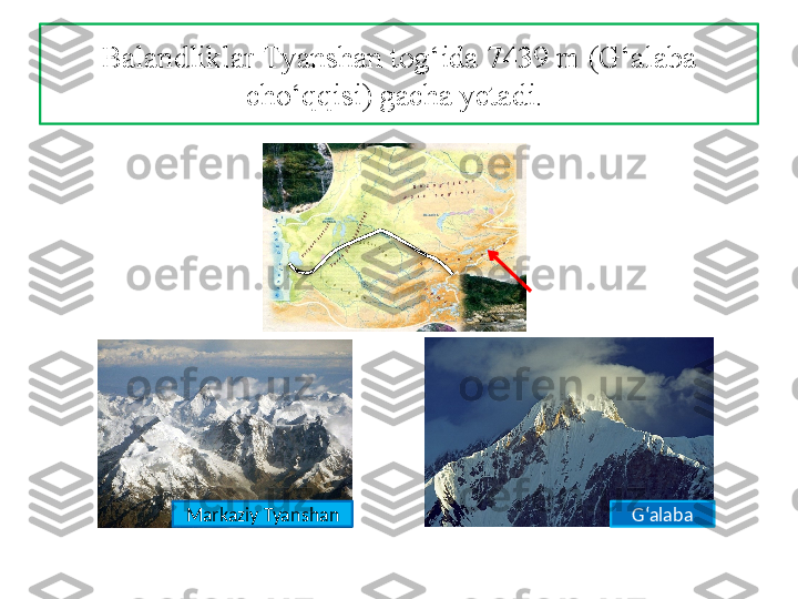 Balandliklar  Т yanshan tog‘ida 7439 m (G‘alaba 
cho‘qqisi) gacha yetadi. 
G‘alabaMarkaziy Tyanshan  