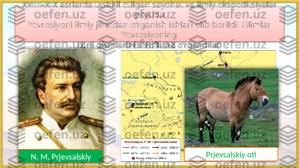 XVIII–XIX asrlarda tashkil etilgan sayohat va ilmiy ekspeditsiyalar 
paytida
Yevrosiyoni ilmiy jihatdan o‘rganish ishlari olib borildi. Olimlar 
Yevrosiyoning
turli qismlarini atroflicha o‘rgandilar.
Prjevsalskiy oti
N. M. Prjevsalskiy     