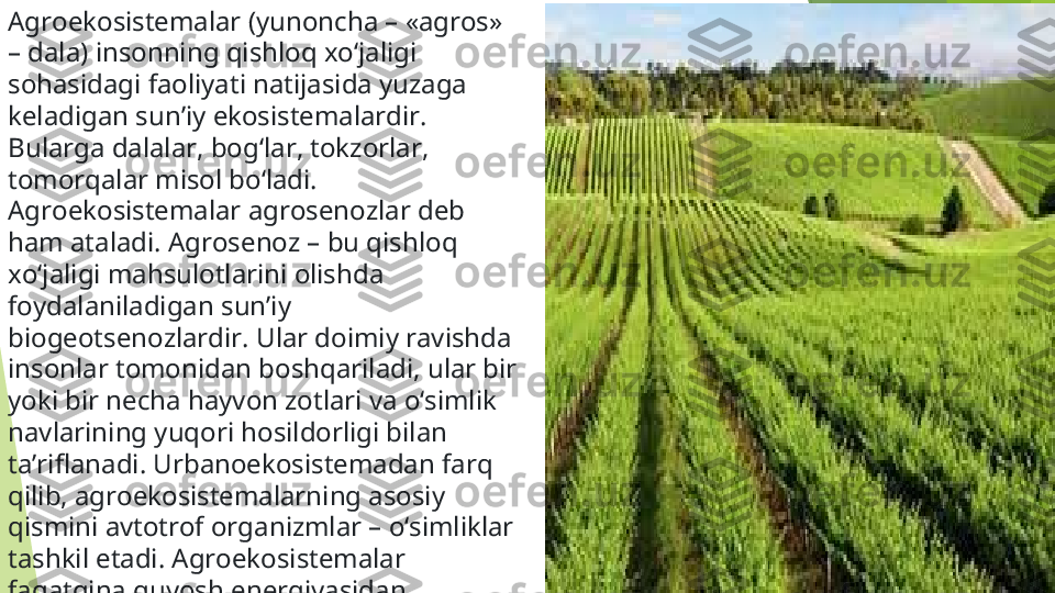 Agroekosistemalar (yunoncha – «agros» 
– dala) insonning qishloq xo‘jaligi 
sohasidagi faoliyati natijasida yuzaga 
keladigan sun’iy ekosistemalardir. 
Bularga dalalar, bog‘lar, tokzorlar, 
tomorqalar misol bo‘ladi. 
Agroekosistemalar agrosenozlar deb 
ham ataladi. Agrosenoz – bu qishloq 
xo‘jaligi mahsulotlarini olishda 
foydalaniladigan sun’iy 
biogeotsenozlardir. Ular doimiy ravishda 
insonlar tomonidan boshqariladi, ular bir 
yoki bir necha hayvon zotlari va o‘simlik 
navlarining yuqori hosildorligi bilan 
ta’riflanadi. Urbanoekosistemadan farq 
qilib, agroekosistemalarning asosiy 
qismini avtotrof organizmlar – o‘simliklar 
tashkil etadi. Agroekosistemalar 
faqatgina quyosh energiyasidan 
foydalanadigan tabiiy ekosistemalardan 
farq qiladi.         