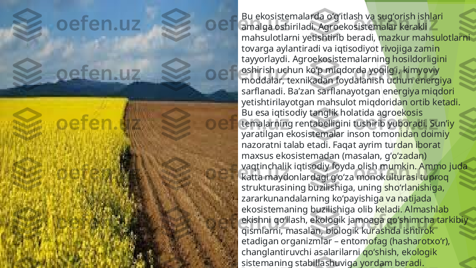 Bu ekosistemalarda o‘g‘itlash va sug‘orish ishlari 
amalga oshiriladi. Agroekosistemalar kerakli 
mahsulotlarni yetishtirib beradi, mazkur mahsulotlarni 
tovarga aylantiradi va iqtisodiyot rivojiga zamin 
tayyorlaydi. Agroekosistemalarning hosildorligini 
oshirish uchun ko‘p miqdorda yoqilg‘i, kimyoviy 
moddalar, texnikadan foydalanish uchun energiya 
sarflanadi. Ba’zan sarflanayotgan energiya miqdori 
yetishtirilayotgan mahsulot miqdoridan ortib ketadi. 
Bu esa iqtisodiy tanglik holatida agroekosis 
temalarning rentabelligini tushirib yuboradi. Sun’iy 
yaratilgan ekosistemalar inson tomonidan doimiy 
nazoratni talab etadi. Faqat ayrim turdan iborat 
maxsus ekosistemadan (masalan, g‘o‘zadan) 
vaqtinchalik iqtisodiy foyda olish mumkin. Ammo juda 
katta maydonlardagi g‘o‘za monokulturasi tuproq 
strukturasining buzilishiga, uning sho‘rlanishiga, 
zararkunandalarning ko‘payishiga va natijada 
ekosistemaning buzilishiga olib keladi. Almashlab 
ekishni qo‘llash, ekologik jamoaga qo‘shimcha tarkibiy 
qismlarni, masalan, biologik kurashda ishtirok 
etadigan organizmlar – entomofag (hasharotxo‘r), 
changlantiruvchi asalarilarni qo‘shish, ekologik
sistemaning stabillashuviga yordam beradi.         