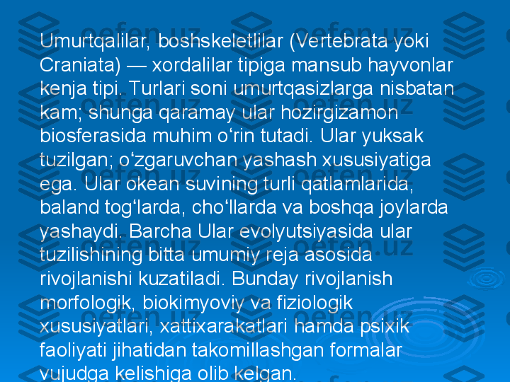 Umurtqalilar, boshskeletlilar (Vertebrata yoki 
Craniata) — xordalilar tipiga mansub hayvonlar 
kenja tipi. Turlari soni umurtqasizlarga nisbatan 
kam; shunga qaramay ular hozirgizamon 
biosferasida muhim o rin tutadi. Ular yuksak ʻ
tuzilgan; o zgaruvchan yashash xususiyatiga 	
ʻ
ega. Ular okean suvining turli qatlamlarida, 
baland tog larda, cho llarda va boshqa joylarda 
ʻ ʻ
yashaydi. Barcha Ular evolyutsiyasida ular 
tuzilishining bitta umumiy reja asosida 
rivojlanishi kuzatiladi. Bunday rivojlanish 
morfologik, biokimyoviy va fiziologik 
xususiyatlari, xattixarakatlari hamda psixik 
faoliyati jihatidan takomillashgan formalar 
vujudga kelishiga olib kelgan. 