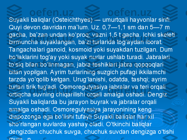 Suyakli baliqlar (Osteichthyes) — umurtqali hayvonlar sinfi. 
Quyi devon davridan ma lum. Uz. 0,7—1,1 sm dan 5—7 m ʼ
gacha, ba zan undan ko proq; vazni 1,5 t gacha. Ichki skeleti 	
ʼ ʻ
birmuncha suyaklangan, ba zi turlarida tog aydan iborat. 	
ʼ ʻ
Ta ngachalari ganoid, kosmoid yoki suyakdan tuzilgan. Dum 
bo laklarini tog ay yoki suyak nurlar ushlab turadi. Jabralari 	
ʻ ʻ
to siq bilan bo linmagan, jabra teshiklari jabra qopqoqlari 
ʻ ʻ
bilan yopilgan. Ayrim turlarining suzgich pufagi ikkilamchi 
tarzda yo qolib ketgan. Urug lanishi, odatda, tashqi; ayrim 	
ʻ ʻ
turlari tirik tug adi. Osmoregulyasiya jabralar va teri orqali 	
ʻ
ortiqcha suvning chiqarilishi orqali amalga oshadi. Dengiz 
Suyakli baliqlarda bu jarayon buyrak va jabralar orqali 
amalga oshadi. Osmoregulyasiya jarayonining keng 
diapozonga ega bo lishi tufayli Suyakli baliqlar har xil 	
ʻ
sho rlangan suvlarda yashay oladi. O tkinchi baliqlar 	
ʻ ʻ
dengizdan chuchuk suvga, chuchuk suvdan dengizga o tishi 	
ʻ
mumkin. 