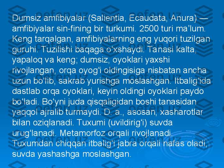 Dumsiz amfibiyalar (Salientia, Ecaudata, Anura) — 
amfibiyalar sin-fining bir turkumi. 2500 turi ma lum. ʼ
Keng tarqalgan, amfibiyalarning eng yuqori tuzilgan 
guruhi. Tuzilishi baqaga o xshaydi. Ta nasi kalta, 	
ʻ
yapaloq va keng; dumsiz, oyoklari yaxshi 
rivojlangan, orqa oyog i oldingisiga nisbatan ancha 	
ʻ
uzun bo lib, sakrab yurishga moslashgan. Itbalig ida 	
ʻ ʻ
dastlab orqa oyoklari, keyin oldingi oyoklari paydo 
bo ladi. Bo yni juda qisqaligidan boshi tanasidan 	
ʻ ʻ
yaqqol ajralib turmaydi. D. a., asosan, xasharotlar 
bilan oziqlanadi. Tuxumi (uvildirig i) suvda 	
ʻ
urug lanadi. Metamorfoz orqali rivojlanadi. 	
ʻ
Tuxumdan chiqqan itbalig i jabra orqali nafas oladi, 	
ʻ
suvda yashashga moslashgan. 