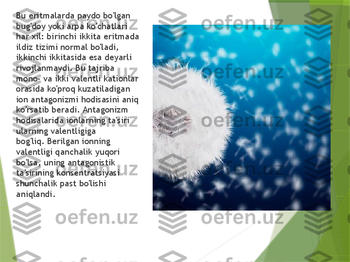 Bu eritmalarda paydo bo'lgan 
bug'doy yoki arpa ko'chatlari 
har xil: birinchi ikkita eritmada 
ildiz tizimi normal bo'ladi, 
ikkinchi ikkitasida esa deyarli 
rivojlanmaydi. Bu tajriba 
mono- va ikki valentli kationlar 
orasida ko'proq kuzatiladigan 
ion antagonizmi hodisasini aniq 
ko'rsatib beradi. Antagonizm 
hodisalarida ionlarning ta'siri 
ularning valentligiga 
bog'liq. Berilgan ionning 
valentligi qanchalik yuqori 
bo'lsa, uning antagonistik 
ta'sirining konsentratsiyasi 
shunchalik past bo'lishi 
aniqlandi.                 