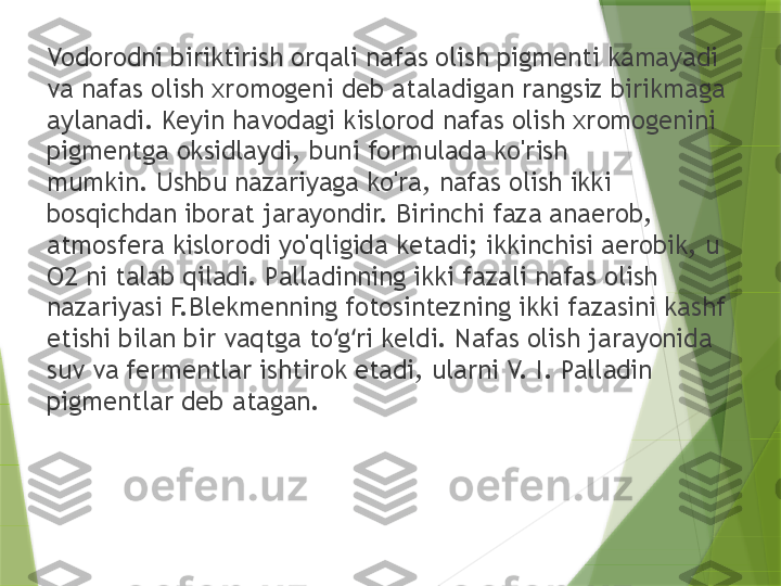 Vodorodni biriktirish orqali nafas olish pigmenti kamayadi 
va nafas olish xromogeni deb ataladigan rangsiz birikmaga 
aylanadi. Keyin havodagi kislorod nafas olish xromogenini 
pigmentga oksidlaydi, buni formulada ko'rish 
mumkin. Ushbu nazariyaga ko'ra, nafas olish ikki 
bosqichdan iborat jarayondir. Birinchi faza anaerob, 
atmosfera kislorodi yo'qligida ketadi; ikkinchisi aerobik, u 
O2 ni talab qiladi. Palladinning ikki fazali nafas olish 
nazariyasi F.Blekmenning fotosintezning ikki fazasini kashf 
etishi bilan bir vaqtga to g ri keldi. Nafas olish jarayonida ʻ ʻ
suv va fermentlar ishtirok etadi, ularni V. I. Palladin 
pigmentlar deb atagan.                 