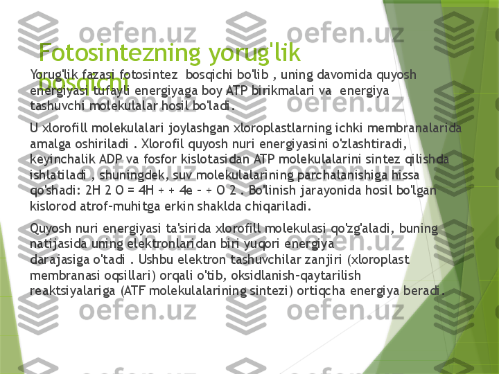 Fotosintezning yorug'lik 
bosqichiYorug'lik fazasi fotosintez  bosqichi bo'lib , uning davomida quyosh 
energiyasi tufayli energiyaga boy ATP birikmalari va  energiya 
tashuvchi molekulalar hosil bo'ladi.
U xlorofill molekulalari joylashgan xloroplastlarning ichki membranalarida 
amalga oshiriladi . Xlorofil quyosh nuri energiyasini o'zlashtiradi, 
keyinchalik ADP va fosfor kislotasidan ATP molekulalarini sintez qilishda 
ishlatiladi , shuningdek, suv molekulalarining parchalanishiga hissa 
qo'shadi: 2H 2 O = 4H + + 4e - + O 2 . Bo'linish jarayonida hosil bo'lgan 
kislorod atrof-muhitga erkin shaklda chiqariladi.
Quyosh nuri energiyasi ta'sirida xlorofill molekulasi qo'zg'aladi, buning 
natijasida uning elektronlaridan biri yuqori energiya 
darajasiga o'tadi . Ushbu elektron tashuvchilar zanjiri (xloroplast 
membranasi oqsillari) orqali o'tib, oksidlanish-qaytarilish 
reaktsiyalariga (ATF molekulalarining sintezi) ortiqcha energiya beradi.                 