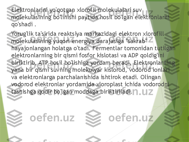 Elektronlarini yo'qotgan xlorofil molekulalari suv 
molekulasining bo'linishi paytida hosil bo'lgan elektronlarni 
qo'shadi .
Yorug'lik ta'sirida reaktsiya markazidagi elektron xlorofill 
molekulasining yuqori energiya darajasiga "sakrab" 
hayajonlangan holatga o'tadi. Fermentlar tomonidan tutilgan 
elektronlarning bir qismi fosfor kislotasi va ADP qoldig'ini 
biriktirib, ATP hosil bo'lishiga yordam beradi. Elektronlarning 
yana bir qismi suvning molekulyar kislorod, vodorod ionlari 
va elektronlarga parchalanishida ishtirok etadi. Olingan 
vodorod elektronlar yordamida xloroplast ichida vodorodni 
tashishga qodir bo'lgan moddaga biriktiriladi.                 