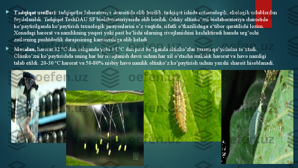 
T а dqiqot usull а ri : t а dqiqotl а r l а bor а toriya sh а roitid а  olib borilib, tadqiqot ishida entomologik, ekologik uslublardan 
foydalanildi. Tadqiqot ToshDAU SF biolaboratoriyasida olib borildi. Oddiy oltinko’zni biolaboratoriya sharoitida 
ko’paytirilganda ko’paytirish texnologik jarayonlarini o’z vaqtida, sifatli o’tkazilishiga e‘tibor qaratilishi lozim. 
Xonadagi harorat va namlikning yuqori yoki past bo’lishi ularning rivojlanishini kechiktiradi hamda urg’ochi 
zotlarning pushtdorlik darajasining kamayishiga olib keladi.

Masalan,  harorat 32 ºC dan oshganda yoki 14 ºC dan past bo’lganda oltinko’zlar tuxum qo’yishdan to’xtadi. 
Oltinko’zni ko’paytirishda uning har bir rivojlanish davri uchun har xil o’rtacha sutkalik harorat va havo namligi 
talab etildi. 20-30 ºC harorat va 50-80% nisbiy havo namlik oltinko’z ko’paytirish uchun yaxshi sharoit hisoblanadi.    