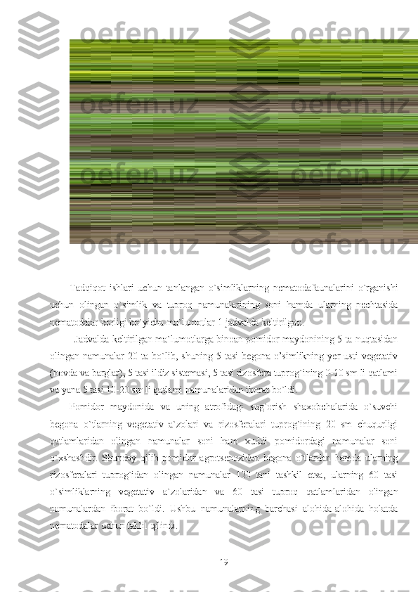 Tadqiqot   ishlari   uchun   tanlangan   o`simliklarning   nematodafaunalarini   o`rganishi
uchun   olingan   o`simlik   va   tuproq   namunalarining   soni   hamda   ularning   nechtasida
nematodalar borligi bo`yicha ma`lumotlar 1-jadvalda keltirilgan.
Jadvalda keltirilgan ma`lumotlarga binoan pomidor maydonining 5 ta nuqtasidan
olingan   namunalar   20   ta   bo`lib,   shuning   5   tasi   begona   o’simlikning   yer   usti   vegetativ
(novda va barglar), 5 tasi ildiz sistemasi, 5 tasi rizosfera tuprog`ining 0-10 sm li qatlami
va yana 5 tasi 10-20 sm li qatlami namunalaridan iborat bo`ldi.
Pomidor   maydonida   va   uning   atrofidagi   sug`orish   shaxobchalarida   o`suvchi
begona   o`tlarning   vegetativ   a`zolari   va   rizosferalari   tuprog`ining   20   sm   chuqurligi
qatlamlaridan   olingan   namunalar   soni   ham   xuddi   pomidordagi   namunalar   soni
o`xshashdir.   Shunday   qilib   pomidor   agrotsenozidan   begona   o`tlardan   hamda   ularning
rizosferalari   tuprog`idan   olingan   namunalar   120   tani   tashkil   etsa,   ularning   60   tasi
o`simliklarning   vegetativ   a`zolaridan   va   60   tasi   tuproq   qatlamlaridan   olingan
namunalardan   iborat   bo`ldi.   Ushbu   namunalarning   barchasi   alohida-alohida   holatda
nematodalar uchun tahlil qilindi.
19 