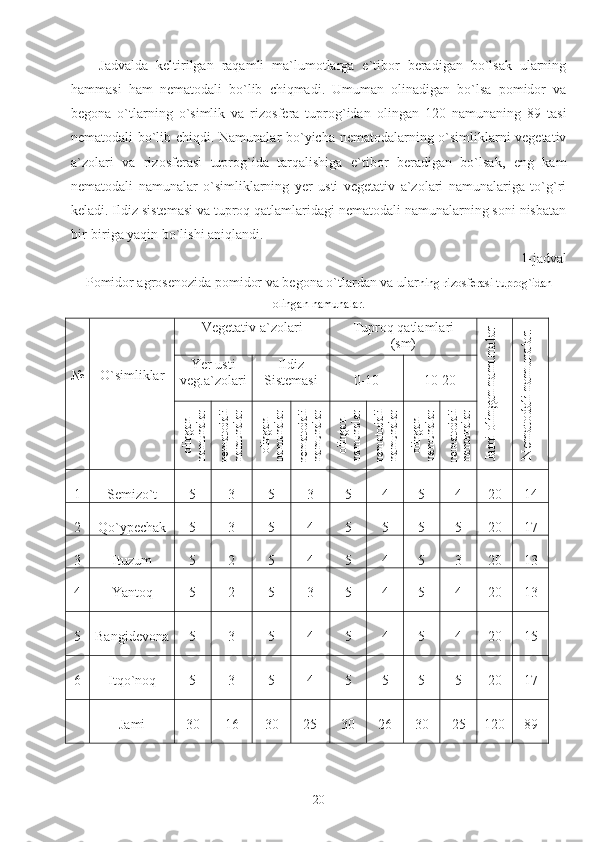 Jadvalda   keltirilgan   raqamli   ma`lumotlarga   e`tibor   beradigan   bo`lsak   ularning
hammasi   ham   nematodali   bo`lib   chiqmadi.   Umuman   olinadigan   bo`lsa   pomidor   va
begona   o`tlarning   o`simlik   va   rizosfera   tuprog`idan   olingan   120   namunaning   89   tasi
nematodali bo`lib chiqdi. Namunalar bo`yicha nematodalarning o`simliklarni vegetativ
a`zolari   va   rizosferasi   tuprog`ida   tarqalishiga   e`tibor   beradigan   bo`lsak,   eng   kam
nematodali   namunalar   o`simliklarning   yer   usti   vegetativ   a`zolari   namunalariga   to`g`ri
keladi. Ildiz sistemasi va tuproq qatlamlaridagi nematodali namunalarning soni nisbatan
bir-biriga yaqin bo`lishi aniqlandi.
1-jadval
Pomidor agrosenozida pomidor va begona o`tlardan va ular ning rizosferasi tuprog`idan
olingan namunalar.
№ O`simliklar Vegetativ a`zolari Tuproq qatlamlari
(sm)Jam
i olingan nam
unalar	
N
em
atodali nam
unalar.
Yer usti
veg.a`zolari Ildiz
Sistemasi 0-10 10-20	
olingan	
namunalar	
nematodali	
namunalar	
olingan	
namunalar	
nematodali	
namunalar	
olingan	
namunalar	
nematodali	
namunalar	
olingan	
namunalar	
nematodali	
namunalar
1 Semizo`t 5 3 5 3 5 4 5 4 20 14
2 Qo`ypechak 5 3 5 4 5 5 5 5 20 17
3 Ituzum 5 2 5 4 5 4 5 3 20 13
4 Yantoq 5 2 5 3 5 4 5 4 20 13
5 Bangidevona 5 3 5 4 5 4 5 4 20 15
6 Itqo`noq 5 3 5 4 5 5 5 5 20 17
Jami 30 16 30 25 30 26 30 25 120 89
 
20 