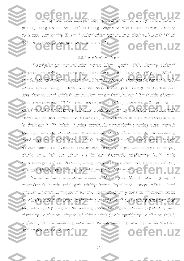 Pomidor agrotsenozda tarqalgan begona o`tlardan semizo`t, qo`ypechak, ituzum,
yantoq,   bangidevona   va   itqo`noqlarning   vegetativ   a`zolaridan   hamda   ularning
rizosferasi   tuprog`ining   20   sm   li   qatlamlaridan   namunalar   to`plash   va   kuzatish   ishlari
2022- yilning avgust-sentyabr oylarida olib borildi. 
2.2. Tadqiqot uslublari
Fiksatsiyalangan   namunalardan   nematodalarni   ajratib   olish,   ularning   turlarini
aniqlash   maqsadida,   probirkadagi   nematodalar   Petri   idishiga   qo`yilib,   MBS-1
(binokulyar) mikroskopida ajratib olinadi hamda toza suvli soat oynachasiga to`planadi.
Ushbu   ajratib   olingan   nematodalardan   vaqtinchalik   yoki   doimiy   mirkopreparatlar
tayyorlash va turini aniqlash uchun, ularni teng nisbatli, ba`zan 1:2 nisbatida glitserin-
spirt   aralashmasida   12-14   soat   davomida   qoldirilib,   tozalanadi.   Glitserin-spirtli
aralashmada nematodalarning kutikulasi  tozalanadi. Bunday tozalangan kutikula orqali
nematodaning ichki organlari va sistemalari, turli sistematik belgilari mikroskopda aniq
ko`rinadigan   bo`lib   qoladi.   Bunday   preparatda   nematodaning   qanday   turga   mansub
ekanligini   aniqlash   osonlashadi.   Shuni   alohida   eslatib   o`tish   o`rinliki,   nematodaning
qaysi   turga   mansub   bo`lishini   aniqlash   faqat   jinsiy   jihatdan   voyada   yetgan   individ
ko`zdan   kechiriladi.   Lichinka   bosqichidagi   nematoda   orqali   turni   aniqlab   bo`lmaydi,
chunki   unda   hali   tur   uchun   xos   bo`lgan   sistematik   belgilarning   kuchli   to`la
shakllanmagan   bo`ladi.   Masalan,   uning   jinsiy   sistamasi   ham   rivojlanmagan   bo`lishi,
yoki tashqi jinsiy organlarining joyi aniqlamagan bo`lishi mumkin.
Nematoda   turini   aniqlashda   albatta   u   MBI-1   yoki   MBI-3   rusumli   yorug`lik
mikroskopida   hamda   aniqlagich   adabiyotlardan   foydalanish   tavsiya   etiladi.   Turni
aniqlashda  nematodaning tashqi  va  ichki  organlari  umumiy ravishda  mikroskop  ostida
ko`zdan kechiriladi. Shundan keyin uning umumiy uzunligi, gavdaning o`rta qismidagi
eni,   tashqi   jinsiy   belgilari   va   ularning   gavda   uzunligiga   nisbatan   joylashishi,   dum
qismining uzunligi va uning shakli oldingi ichak (qizilo`ngach)ning uzunligi va shakli,
urg`ochi   jinsli   nematodaning   tuxumdoni   va   bachadonining   uzunligi   hamda   shakllari
kabi belgilar asos qilib olinadi. 
21 