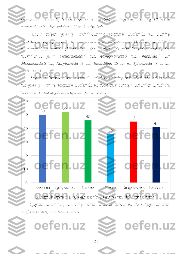 namunalari   to`planib,   laboratoriya   sharoitida   tahlil   qilinganda,   ularning   89   tasida
nematodalar bo`lishi aniqlandi (1 va 2 jadvallar).
Tadqiq   etilgan   yovvoyi   o`simliklarning   vegetativ   a`zolarida   va   ularning
rizosferalari tuprog`ining 20 sm gacha qatlamida hammasi bo`lib 78 turdan iborat 1840
ta   nematodalar   topildi   (5   jadval).   Ushbu   turlar   turkumlar   bo`yicha   quyidagicha
taqsimlandi,   ya`ni   Araeolaimida -4   tur,   Monhysterida -2   tur,   Enoplida -1   tur,
Mononchida -5   tur,   Dorylaimida -13   tur,   Rhabditida -25   tur   va   Tylenchida -28   turdan
iborat bo`ldi.
Begona   o`tlarda   topilgan  nematoda   turlari   va  ularning  individlari   miqdori   har   bir
tur   yovvoyi   o`tning   vegetativ   a`zolarida   va   rizosferasi   tuprog`i   qatlamlarida   turlicha
taqsimlanish xususiyatlariga ega bo`lishi aniqlandi. 
5-rasm. Begona o’simliklarda aniqlangan nematodalar turlari soni
Quyida   har   bir   begona   o`tning   nematodafaunasi   tarkibi   va   o`z   xo`jayinlari   bilan
bog`lanish darajalari tahlil qilinadi.
32 