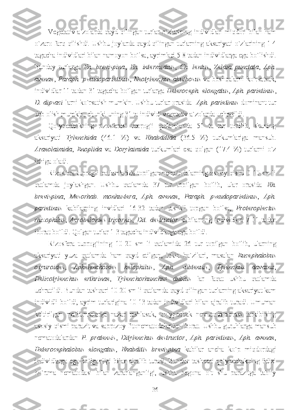 Vegetativ a`zolarda qayd qilingan turlar o`zlarining individlari miqdori bilan ham
o`zaro farq qilishdi. Ushbu joylarda qayd qilingan turlarning aksariyati  o`zlarining 1-4
tagacha individlari bilan namoyon bo`lsa, ayrimlari 5-8 tadan individlarga ega bo`lishdi.
Bunday   turlarga   Rh.   brevispina ,   Rh.   intermedius ,   Ch.   lentus ,   Zeldia   punctata ,   Aph.
avenae ,   Paraph.   pseudoparietinus ,   Neotylenchus   abulbosus   va   boshqalarni   ko`rsatsak,
individlar 11 tadan 31 tagacha bo`lgan turlarga  Heteroceph. elongatus ,  Aph. parietinus ,
D. dipsaci   larni ko`rsatish mumkin. Ushbu turlar orasida    Aph. parietinus   dominant tur
deb olish mumkin, chunki uning 31 ta individi vegetativ a`zolarda uchratildi.
Qo`ypechakning   rizosferasi   tuprog`i   qatlamlarida   51   ta   tur   topilib,   shuning
aksariyati   Tylenchida   (46.1   %)   va   Rhabditida   (36.5   %)   turkumlariga   mansub.
Araeolaimida ,   Enoplida   va   Dorylaimida   turkumlari   esa   qolgan   (17.4   %)   turlarni   o`z
ichiga oladi.
Rizosfera tuprog`i qatlamlarida topilgan nematodalarning asosiy  qismi 0-10 sm li
qatlamda   joylashgan.   Ushbu   qatlamda   37   tur   topilgan   bo`lib,   ular   orasida   Rh.
brevispina ,   Mesorhab.   monhustera ,   Aph.   avenae ,   Paraph.   pseudoparietinus ,   Aph.
parietinus   kabilarning   invidlari   16-32   tadan   tashkil   topgan   bo`lsa,   Proteroplectus
rhizophilus ,   Acrobeloides   tricornis ,   Dit.   destructor   kabilarning   individlari   7-11   tadan
iborat bo`ldi. Qolgan turlar 1-3 tagacha individlarga ega bo`ldi.
Rizosfera   tuprog`ining   10-20   sm   li   qatlamida   26   tur   topilgan   bo`lib,   ularning
aksariyati   yuza   qatlamda   ham   qayd   etilgan,   lekin   ba`zilari,   masalan   Eucephalobus
oxyuroides ,   Aphelenchoides   helophilus ,   Aph.   subtenuis ,   Tylenchus   davainii ,
Helicotylenchus   erthrinae ,   Tylenchorhunchus   dubius   lar   faqat   ushbu   qatlamda
uchratildi. Bundan tashqari 10-20 sm li qatlamda qayd qilingan turlarning aksariyat kam
individli bo`ldi, ayrim turlarigina 10-13 tadan individlari bilan ajralib turadi. Umuman
keltirilgan   ma`lumotlarga   nazar   tashlasak,   qo`ypechak   nematodafaunasi   tarkibining
asosiy qismi parazit va saprozoy fitonematodalardan iborat. Ushbu guruhlarga mansub
nematodalardan   P.   pratensis ,   Ditylenchus   destructor ,   Aph.   parietinus ,   Aph.   avenae ,
Heterocephalobus   elongatus ,   Rhabditis   brevispina   kabilar   ancha   ko`p   miqdordagi
individlarga ega bo`lganligi bilan ajralib turadi. Bundan tashqari qo`ypechakning ildizi
bo`rtma   nematodasi   bilan   zararlanganligi,   ushbu   begona   o`t   shu   parazitga   tabiiy
36 