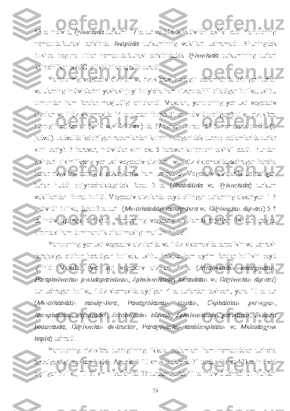 63 ta individ,  Tylenchida  turkumi 17 ta tur va 108 ta individni tashkil etdi. Yantoqning
nematodafaunasi   tarkibida   Enoplida   turkumining   vakillari   uchramadi.   Shuningdek
boshqa   begona   o`tlar   nematodafaunasi   tarkibidadek   Tylenchida   turkumining   turlari
ko`pchilikni tashkil qilishi bilan ajralib turadi.
Yantoqning   vegetativ   a`zolari   va   rizosferasi   tuprog`i   qatlamlarida   topilgan   turlar
va ularning individlarini yashash joyi bo`yicha ham o`zaro tahlil qiladigan bo`lsa, ushbu
tomondan   ham   farqlar   mavjudligi   aniqlandi.   Masalan,   yantoqning   yer   usti   vegetativ
a`zolari va ildiz sistemasida  14 ta turdan iborat 31 ta individ topilgan bo`lsa, rizosfera
tuprog`i qatlamlari  (0-10 va 10-20 sm)  da 37 turdan iborat 162 ta nematoda topildi (5
jadval). Jadvalda keltirilgan raqamlardan ko`rinib turganidek tuproq qatlamlarida turlar
soni   qariyb   3   baravar,   individlar   soni   esa   5   baravar   ko`proqni   tashkil   etadi.   Bundan
tashqari   o`simlikning   yer   usti   vegetativ   a`zolari     va   ildiz   sistemasida   uchragan   barcha
turlar   rizosfera   tuprog`i   qatlamlarida   ham   uchratildi.   Vegetativ   a`zolarda   uchratilgan
turlar   huddi   qo`ypechakdagidek   faqat   2   ta   ( Rhabditida   va   Tylenchida )   turkum
vakillaridan   iborat   bo`ldi.   Vegetativ   a`zolarda   qayd   qilingan   turlarning   aksariyati   1-3
individli bo`lsa, faqat 2 ta turi   ( Mesorhabditis monhystera   va   Ditylenchus dipsaci ) 5-6
ta   individga   ega   bo`lishdi.   Yantoqning   vegetativ   a`zolarida   topilgan   14   tur   orasida
birontasi ham dominantlik qilaolmasligi ma`lum bo`ldi.
Yantoqning yer usti vegetativ a`zolarida va ildiz sistemasida tarqalishi va uchrash
darajasiga   e`tibor   beradigan   bo`lsak,   ushbu   holatda   ham   ayrim   farqlar   bo`lishi   qayd
qilindi.   Masalan,   yer   usti   vegetativ   a`zolari   4   ta   ( Acrobeloides   emarginatus ,
Paraphelenchus   pseudoparietinus ,   Aphelenchoides   bicaudatus   va   Ditylenchus   dipsaci )
tur   uchragan   bo`lsa,   ildiz   sitemasida   aytilgan   4   ta   turlardan   tashqari,   yana   10   ta   tur
( Mesorhabditis   monhystera ,   Panagrolaimus   rigidus ,   Cephalobus   persegnis ,
Eucephalobus   oxyuroides ,   Acrobeloides   bűtsclii ,   Aphelenchoides   parietinus ,   Seinura
tenuicauda ,   Ditylenchus   destructor ,   Paratylenchus   amblicephalus   va   Meloidogyne
hapla ) uchradi.
Yantoqning   rizosfera   tuprog`ining   ikkala   qatlamlari   ham   nematodalar   turlicha
tarqalganligi ma`lum bo`ldi. Agarda 0-10 sm li qatlamda 31 turdan iborat 121 ta individ
topilgan bo`lsa, 10-20 sm li qatlamda 22 turdan iborat 41 ta individ uchratildi. Bundan
39 